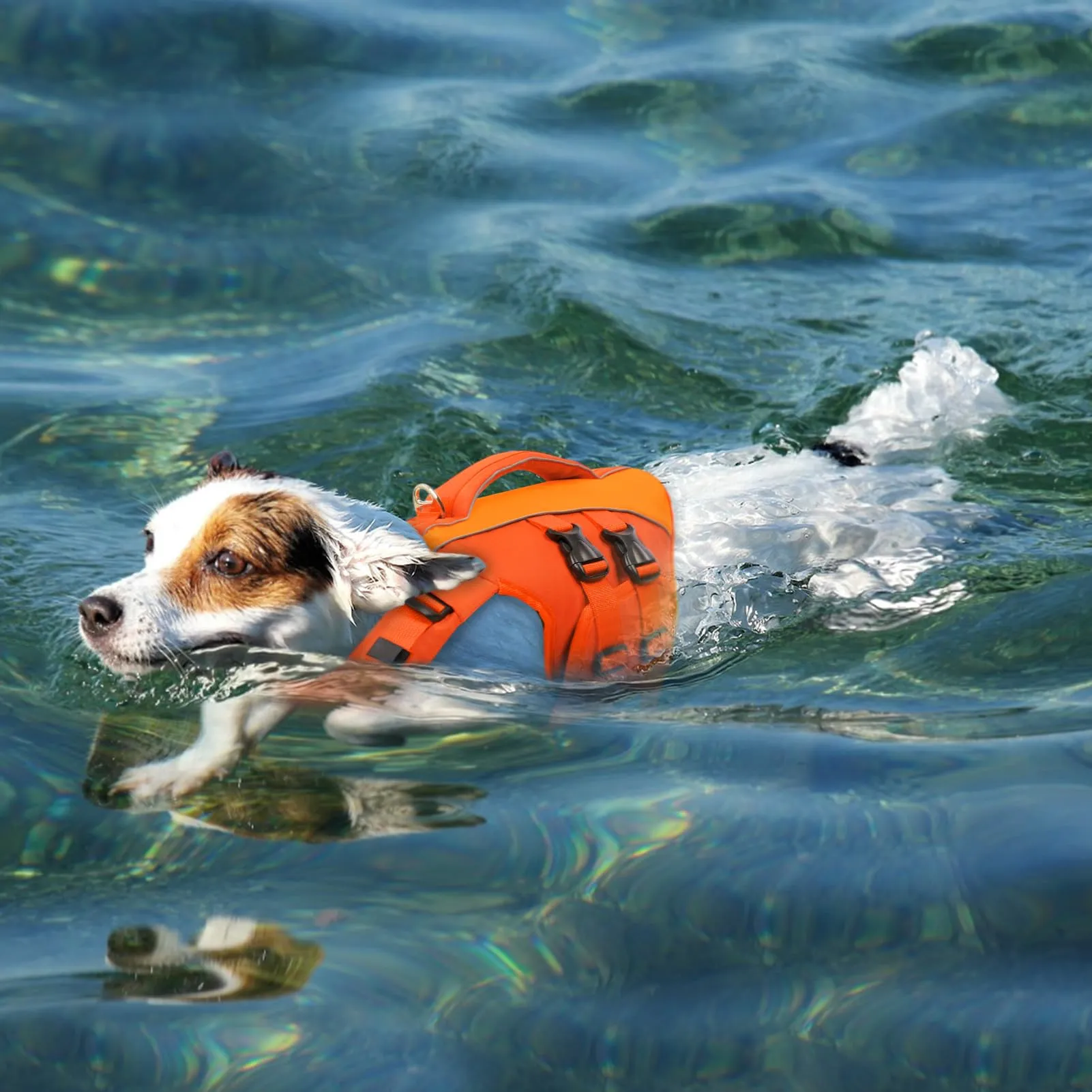 Queenmore Giubbotto Salvagente per Cani, Taglia XL, Arancione, Ripstop con D-Ring - immagine 6