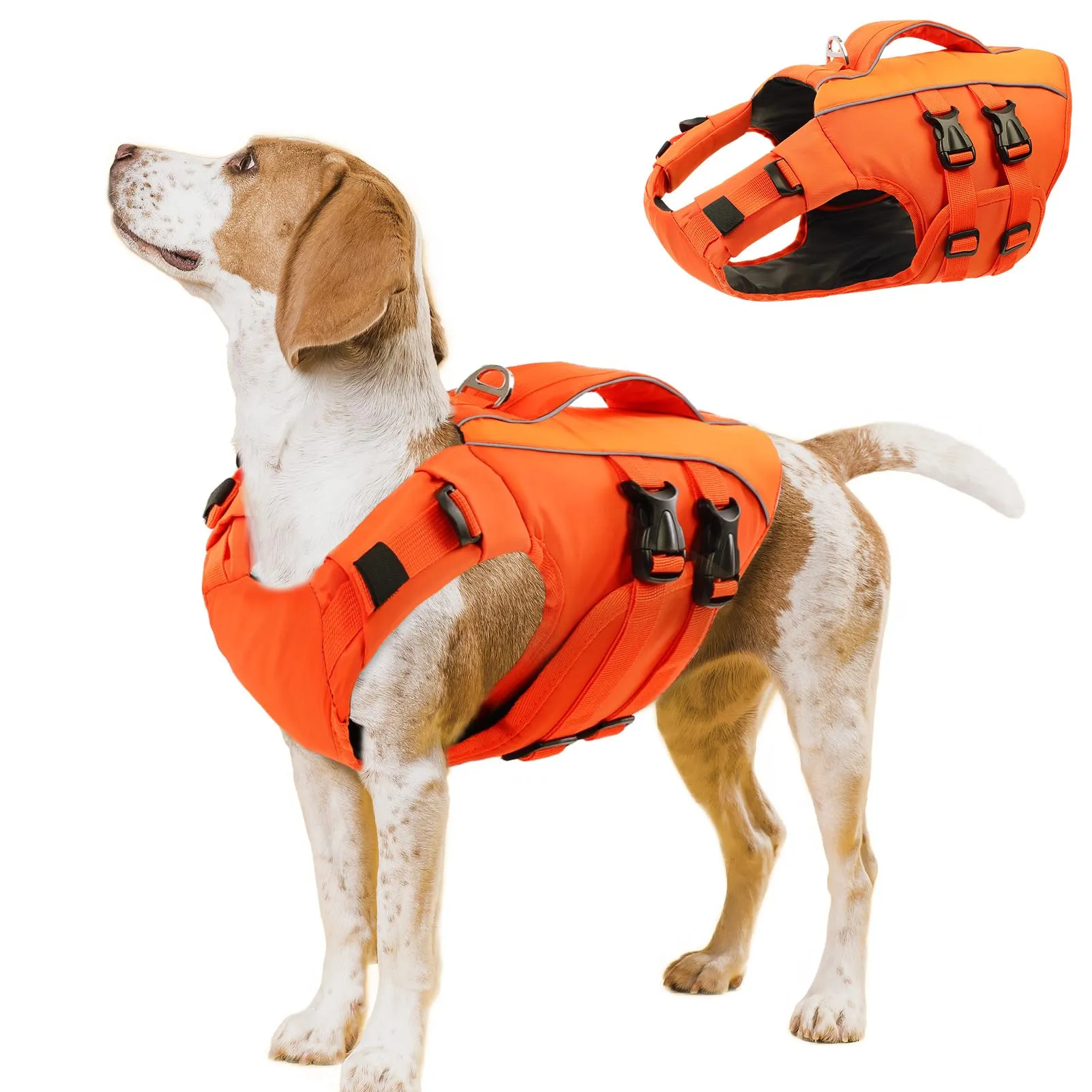 Queenmore Salvagente Cane Taglia M Arancione Regolabile con D-Ring - immagine 1