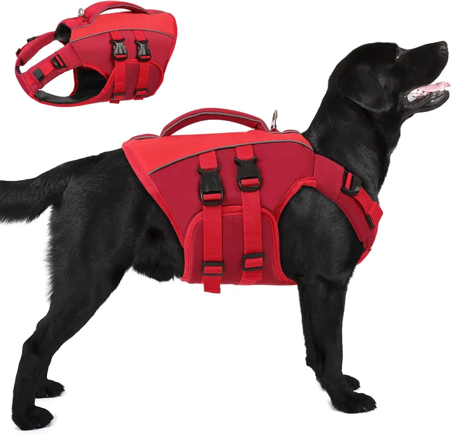 Queenmore Salvagente Cane, XXL, Rosso - immagine 1