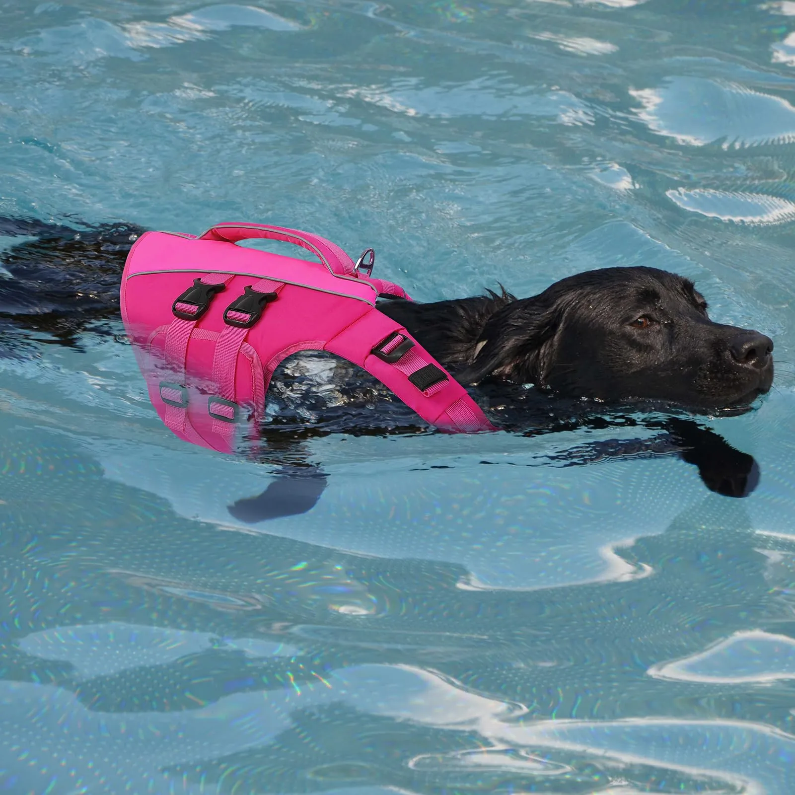 Queenmore Salvagente per Cani Taglia S, Ripstop, Rosa - immagine 6