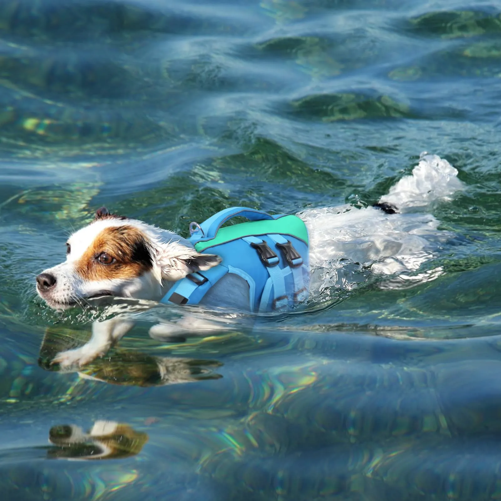Queenmore Salvagente per Cani Taglia S, Ripstop, Rosa - immagine 7