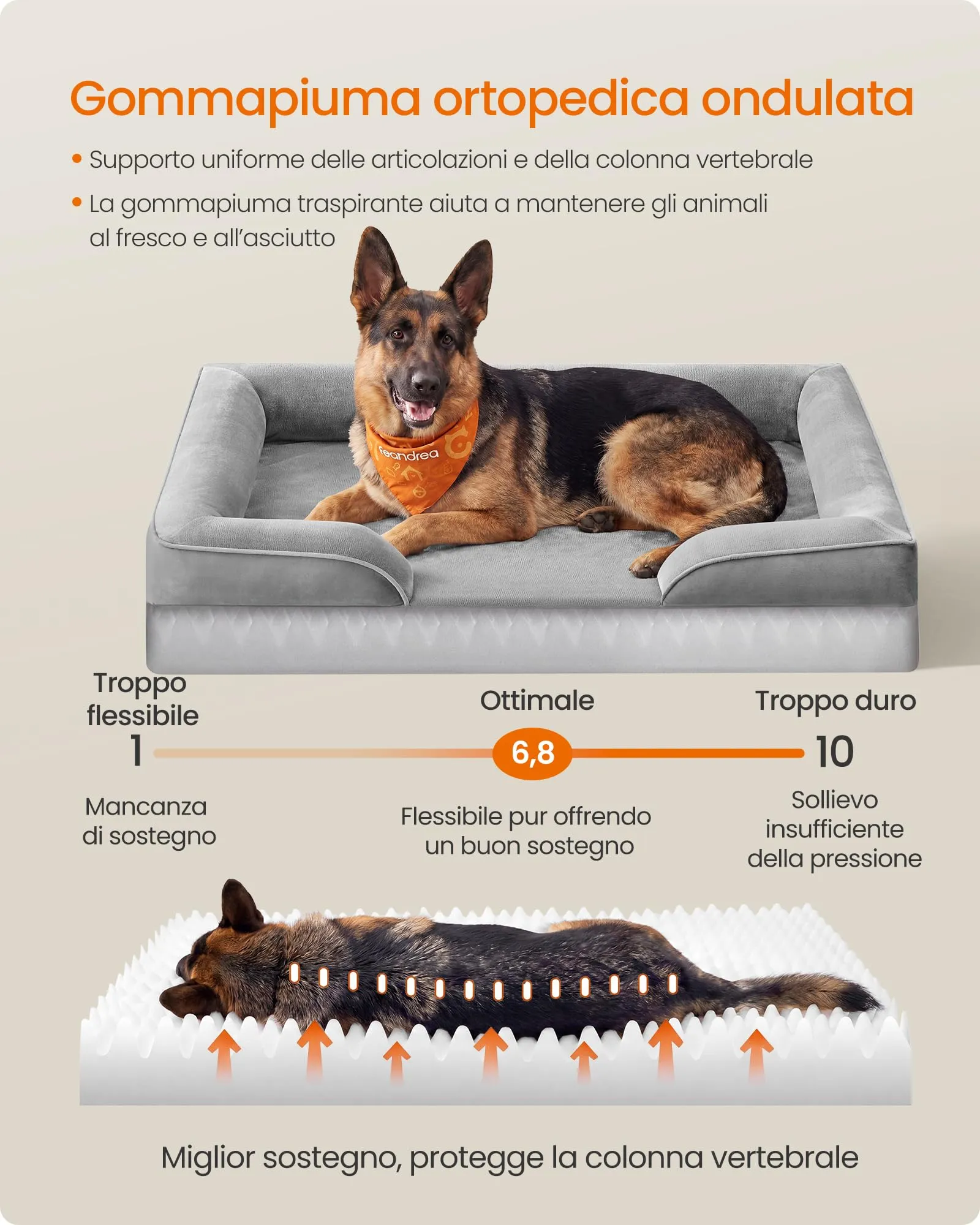 Feandrea Cuccia Ortopedica per Cani in Flanella, 122 x 85 x 17 cm - immagine 3