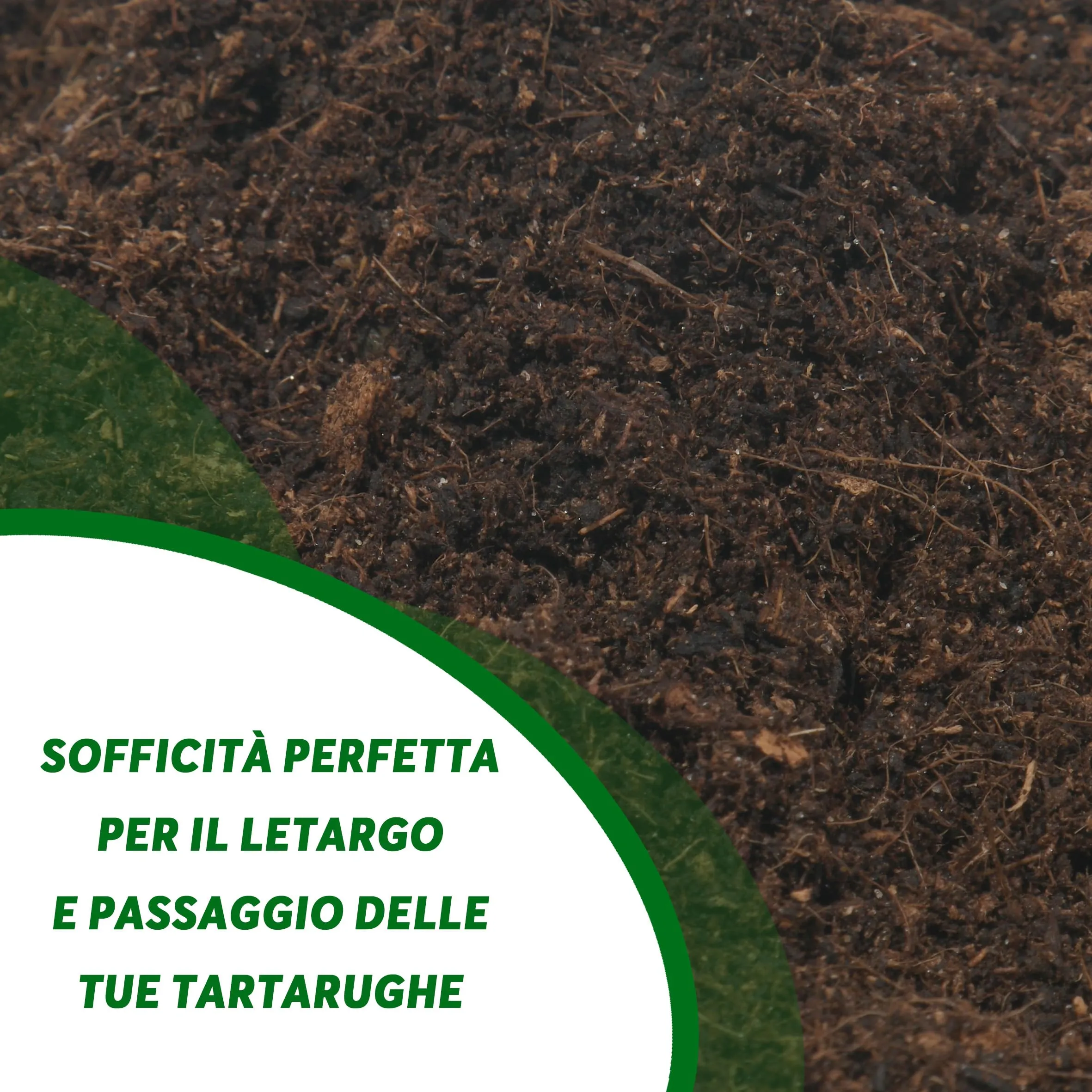 ZOMA Terrario per Tartarughe di Terra, 20L - immagine 3