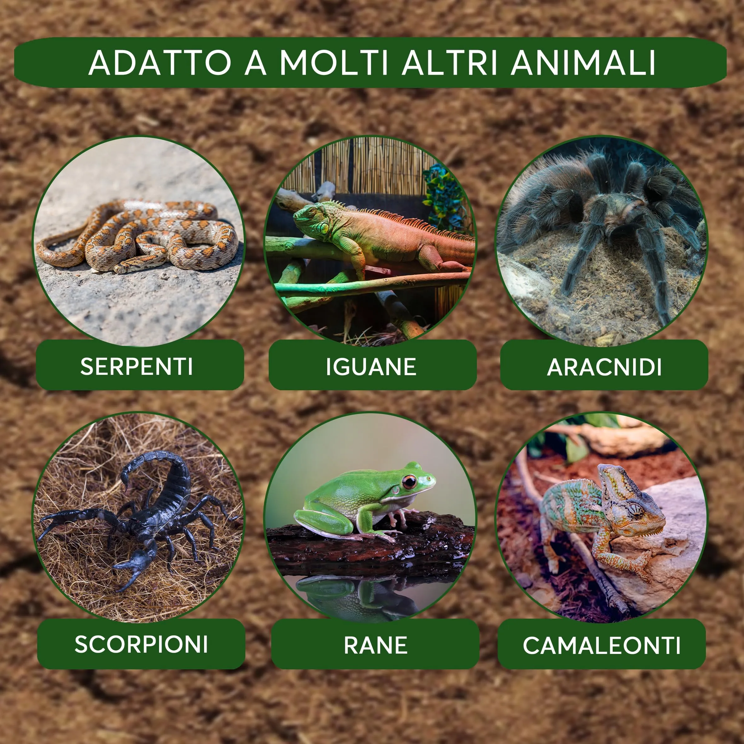 ZOMA Terrario per Tartarughe di Terra, 20L - immagine 6