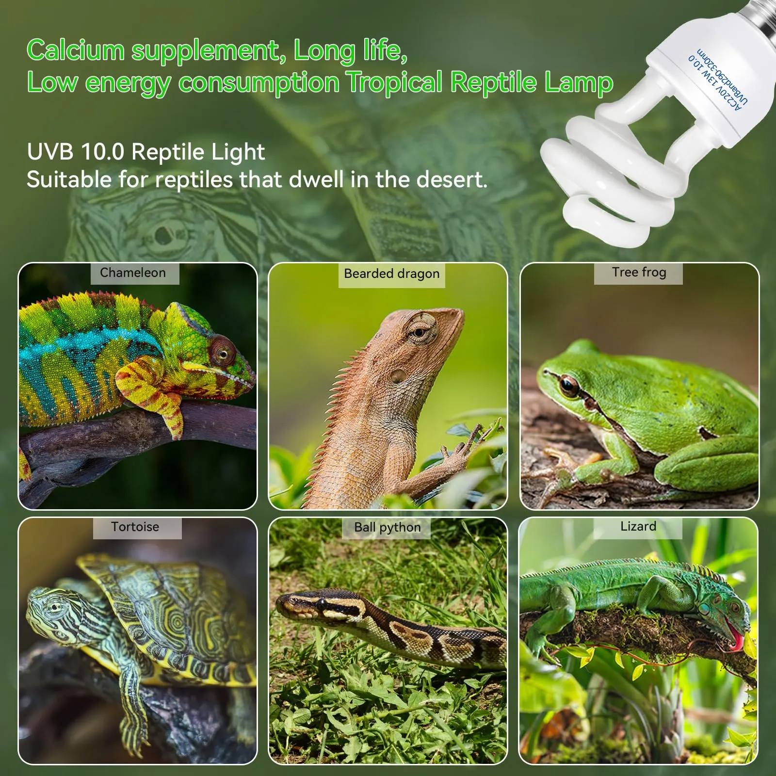 Caldarax Lampada UVB 10.0 per Rettili 13W E27 UVA UVB per Tartarughe, Lucertole, Serpenti, Camaleonti e Draghi Barbuti - immagine 6