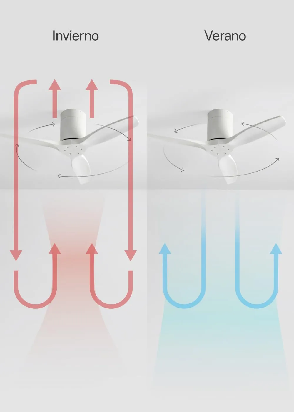 CREATE Windcalm Ventilatore da soffitto ABS bianco con Wifi e telecomando, 40W, Ø112 cm, 6 velocità, temporizzatore, funzione estate-inverno - immagine 4