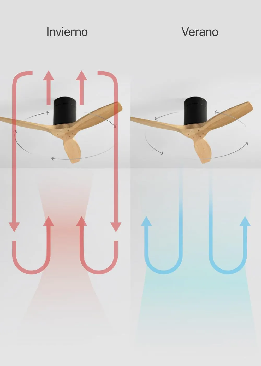 CREATE Windcalm Ventilatore da soffitto ABS nero pale effetto legno chiaro, 40W, Ø112 cm, 6 velocità, con telecomando e funzione estate-inverno - immagine 4