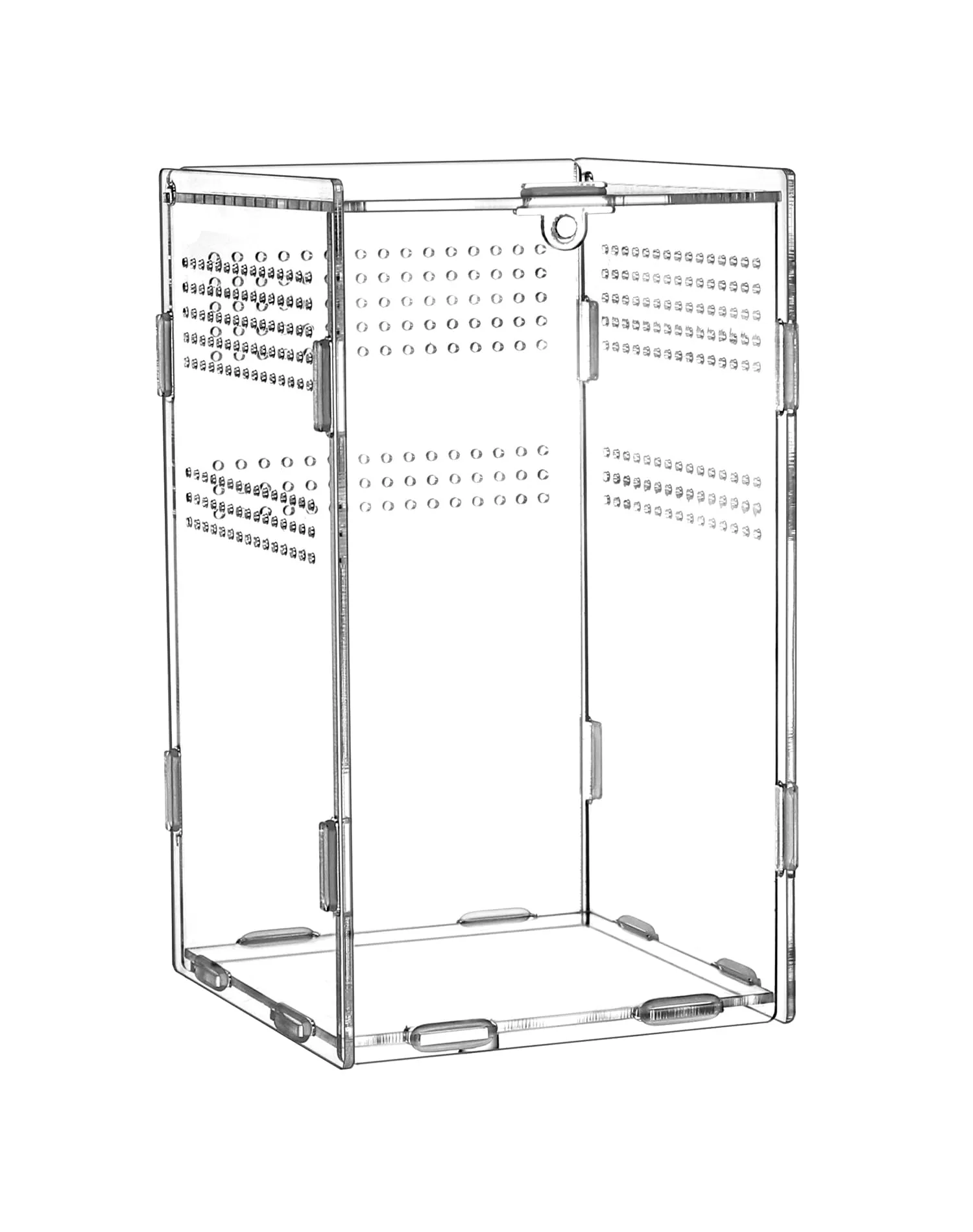 QWORK Scatola per Rettili in Acrilico, Terrario Insetti, 20x12x12cm - immagine 7