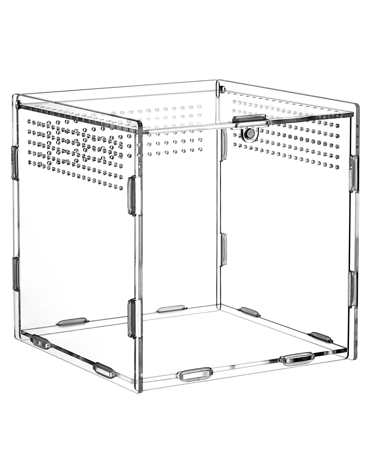 QWORK Scatola per Rettili in Acrilico, Terrario Insetti 15x15x15cm - immagine 5
