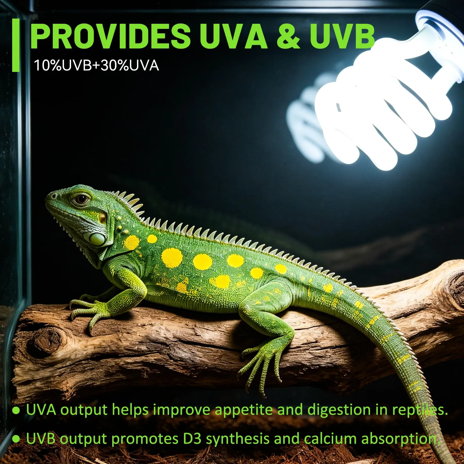 Caldarax Lampada UVB 10.0 per Rettili 26W E27 UVA UVB per Tartarughe, Lucertole, Serpenti, Camaleonti e Draghi Barbuti - immagine 5