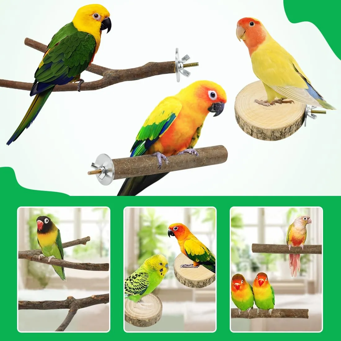 VGECEE Set di 8 Posatoi in Legno Naturale per Pappagallo - immagine 4