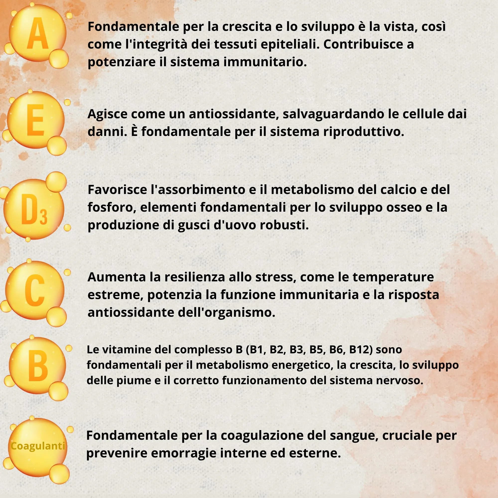 Dadecare Multivitaminico 6 in 1 per Uccelli, Galline, Polli, Piccioni e Pappagalli, Vitamine A-E-D-C-B, 500ml con Dosatore - immagine 4