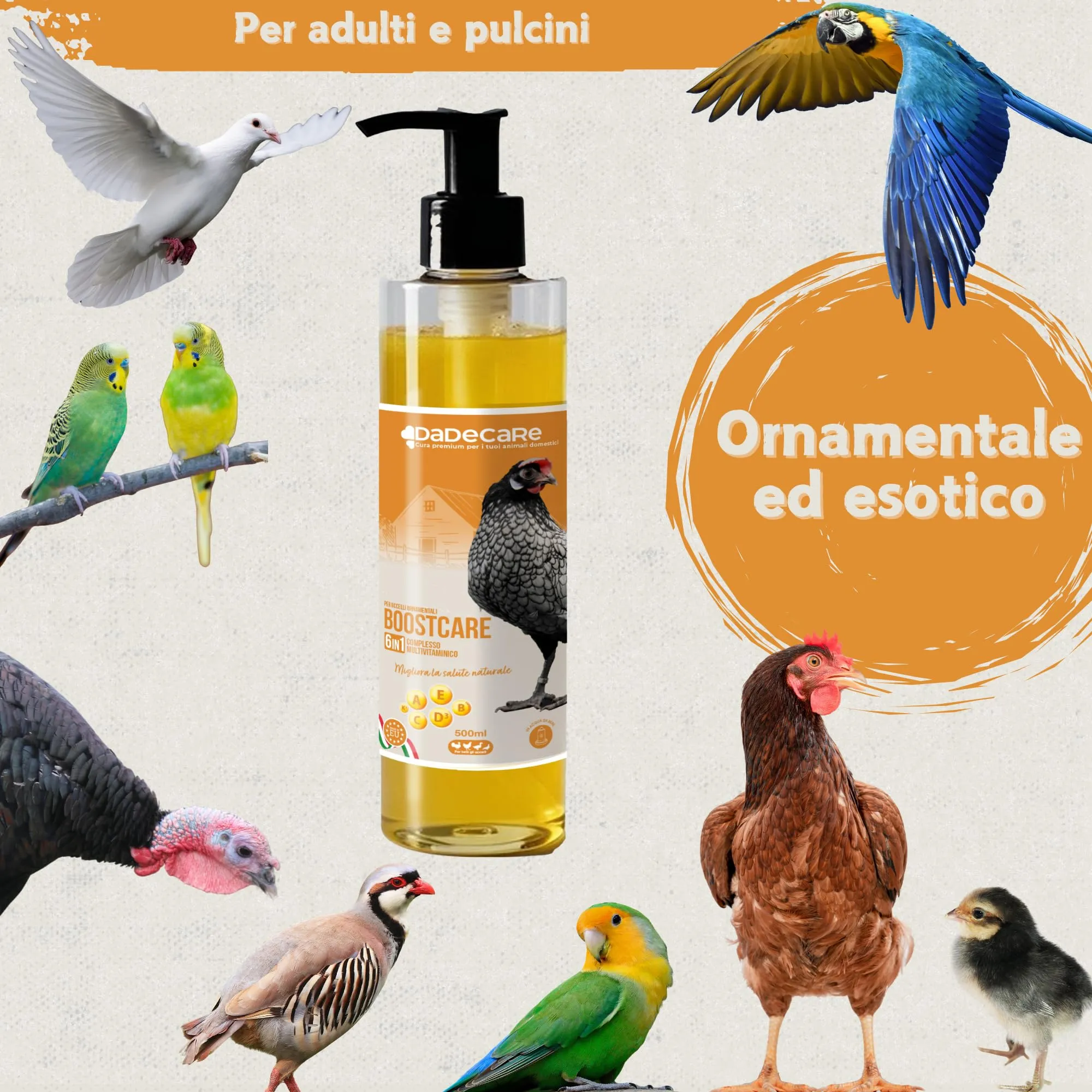 Dadecare Multivitaminico 6 in 1 per Uccelli, Galline, Polli, Piccioni e Pappagalli, Vitamine A-E-D-C-B, 500ml con Dosatore - immagine 6
