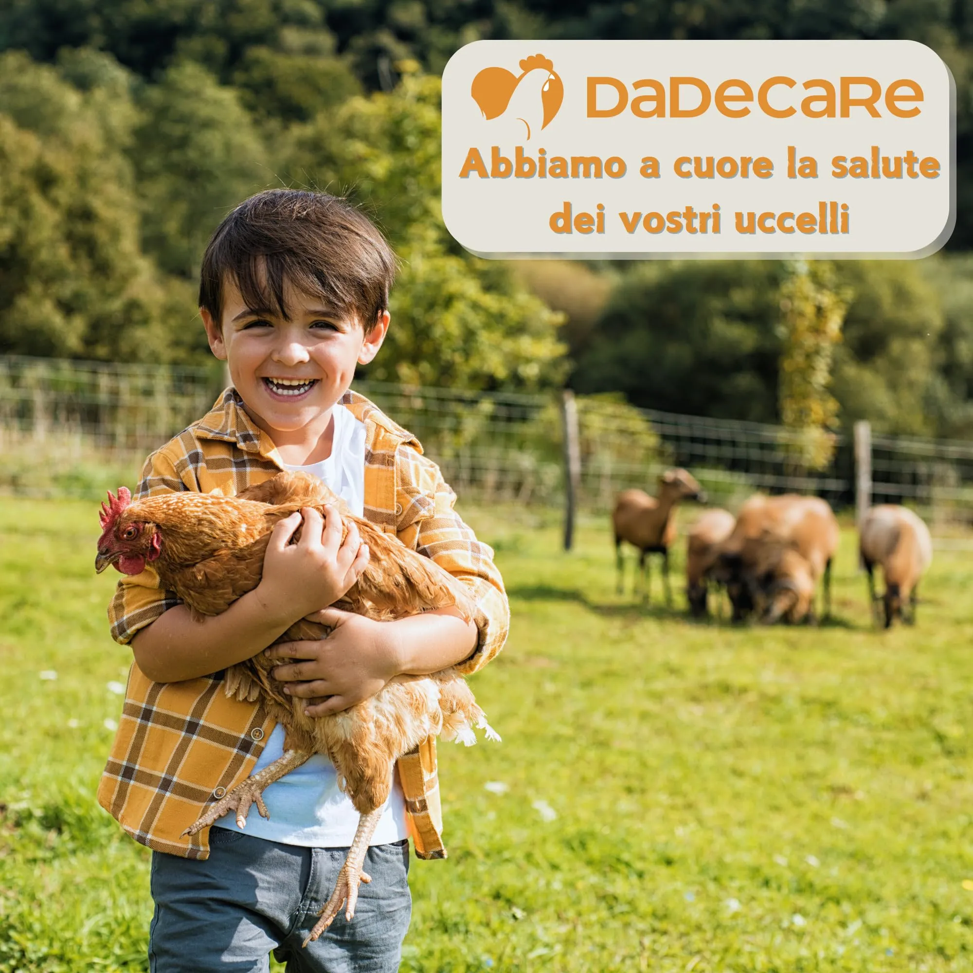 Dadecare Multivitaminico 6 in 1 per Uccelli, Galline, Polli, Piccioni e Pappagalli, Vitamine A-E-D-C-B, 500ml con Dosatore - immagine 7