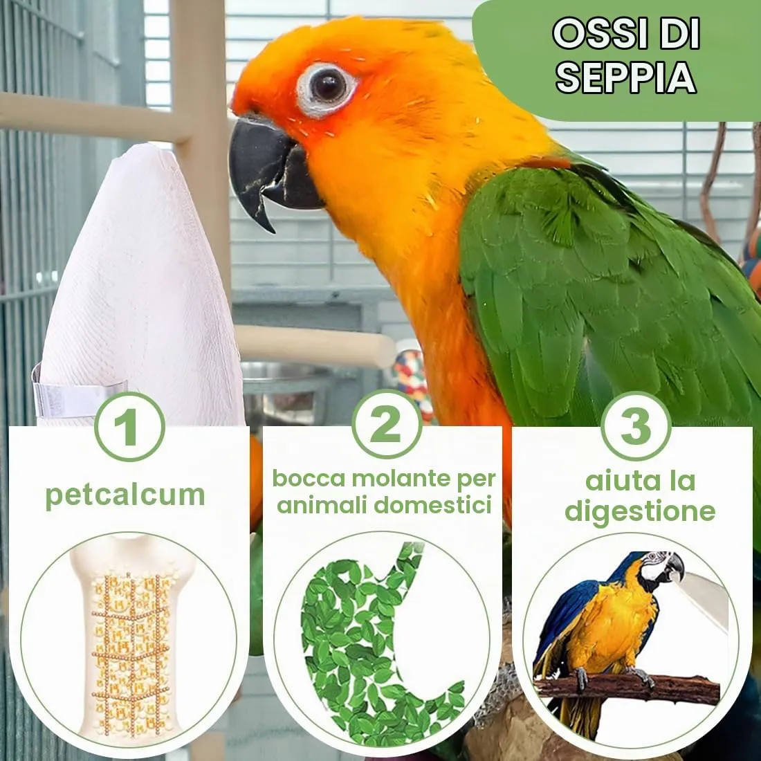 GXGM Osso di Seppia Naturale per Pappagalli, Uccelli e Tartarughe, 8 Pezzi - immagine 3