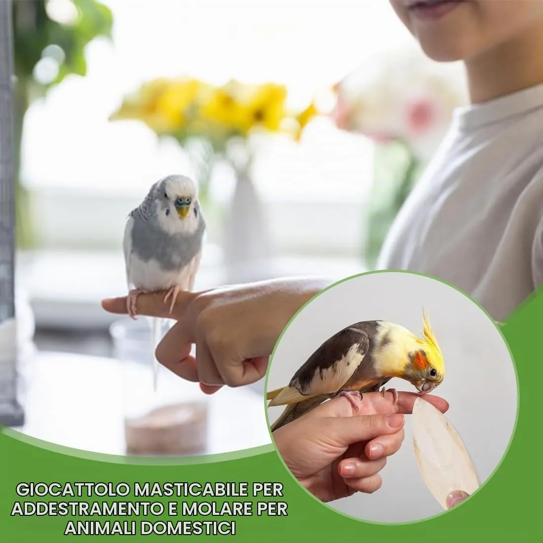 GXGM Osso di Seppia Naturale per Pappagalli, Uccelli e Tartarughe, 8 Pezzi - immagine 4