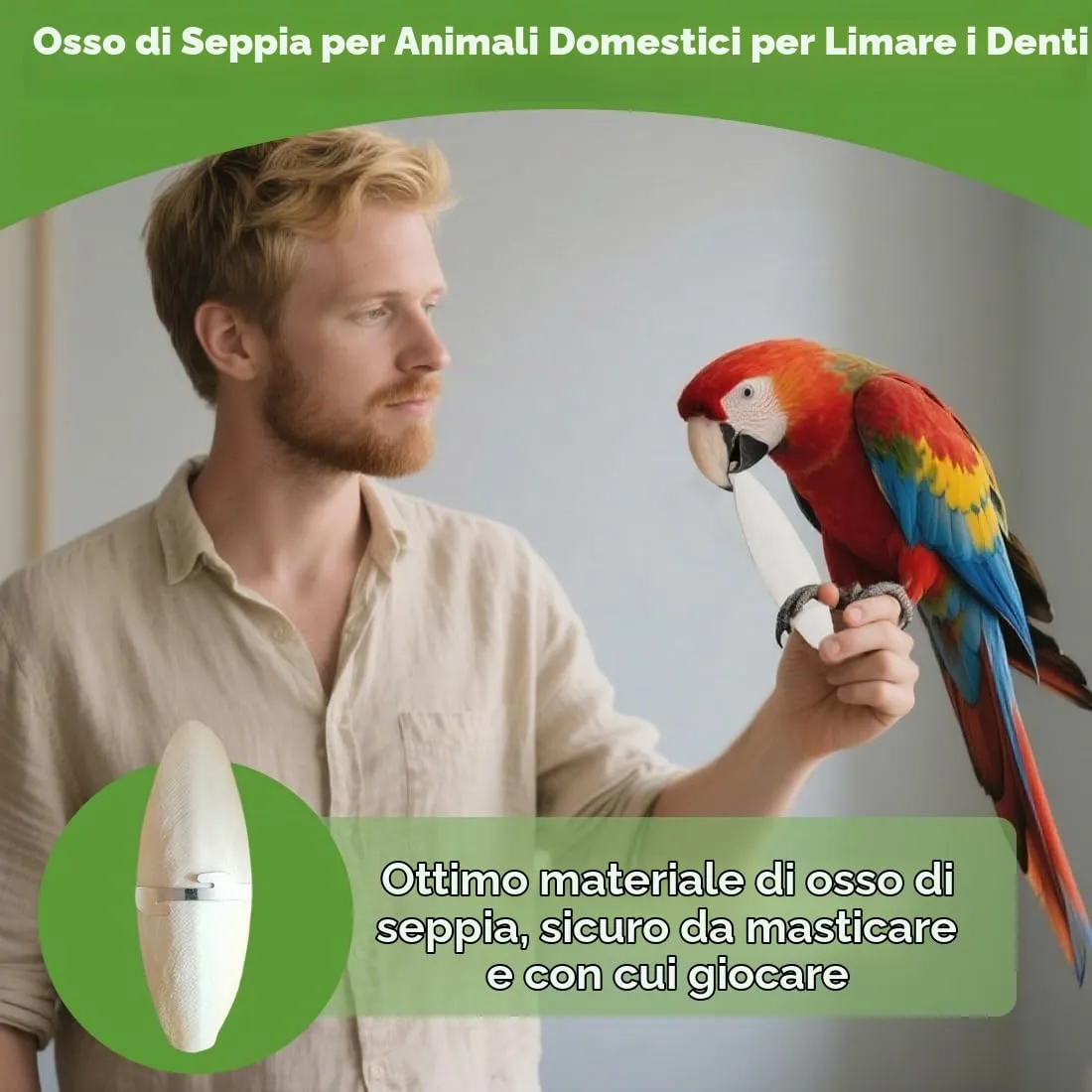 GXGM Osso di Seppia Naturale per Pappagalli, Uccelli e Tartarughe, 8 Pezzi - immagine 5