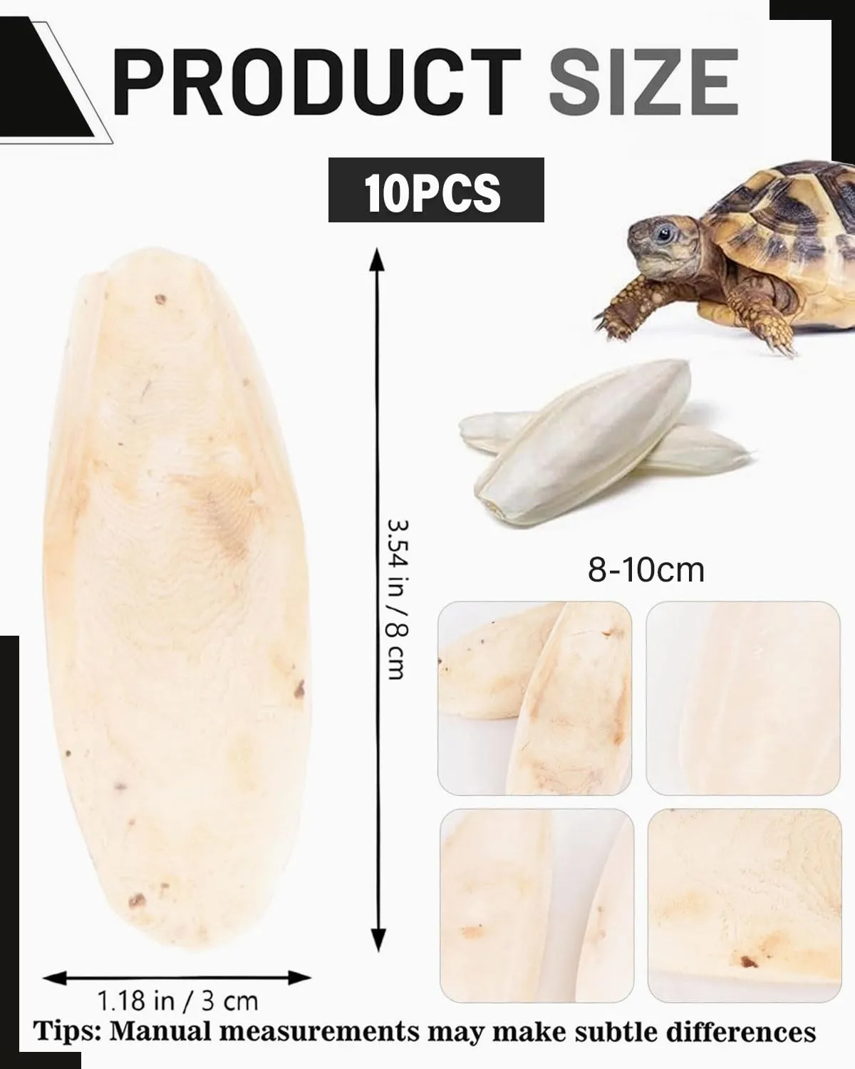 FUGLUS Ossi di Seppia Naturali, 10 Pezzi per Uccelli, Tartarughe e Pappagalli - immagine 2