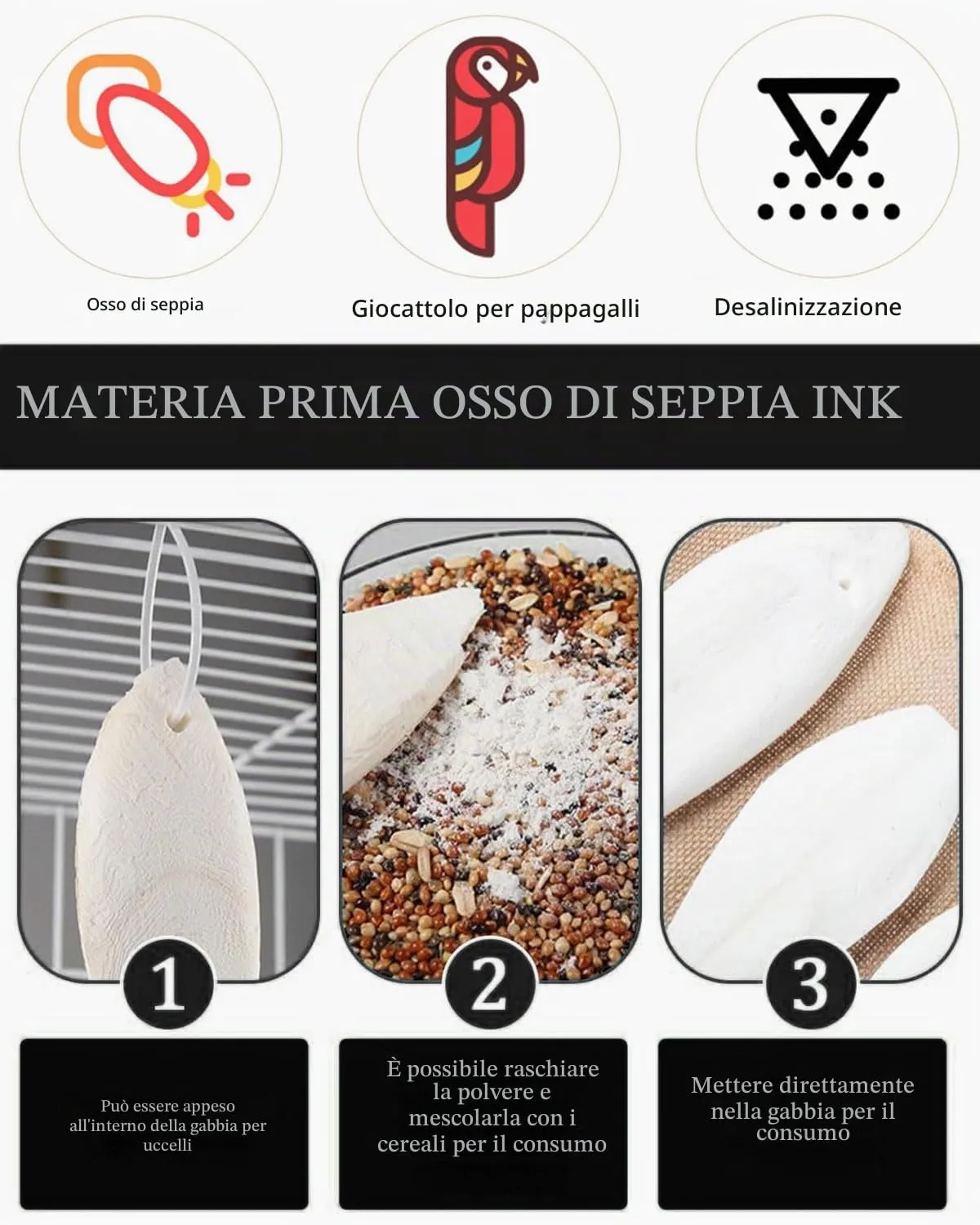 FUGLUS Ossi di Seppia Naturali, 10 Pezzi per Uccelli, Tartarughe e Pappagalli - immagine 4