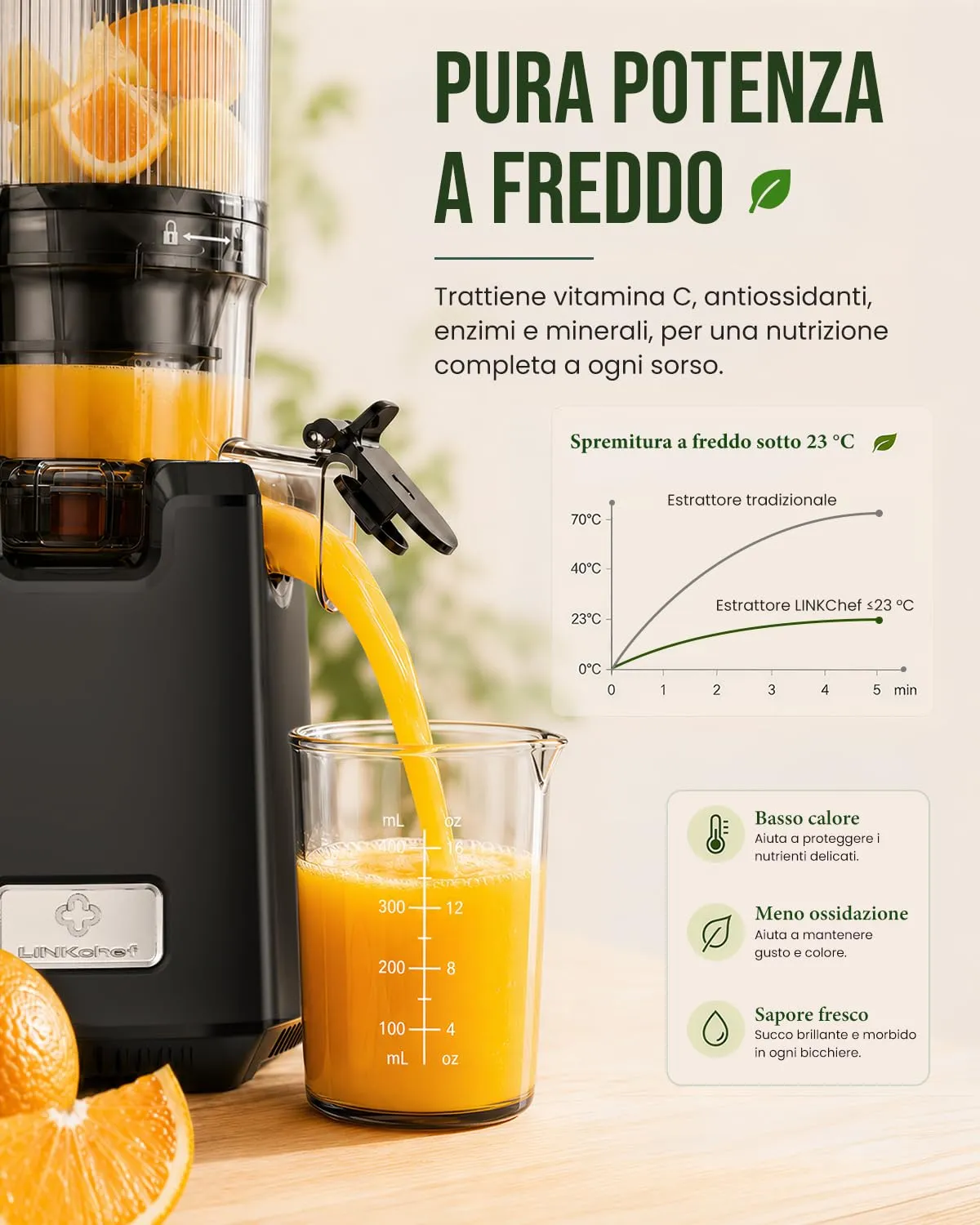 LINKChef Estrattore di Succo a Freddo 250W, Imboccatura 13 cm, 1,8 L, Senza BPA - immagine 4