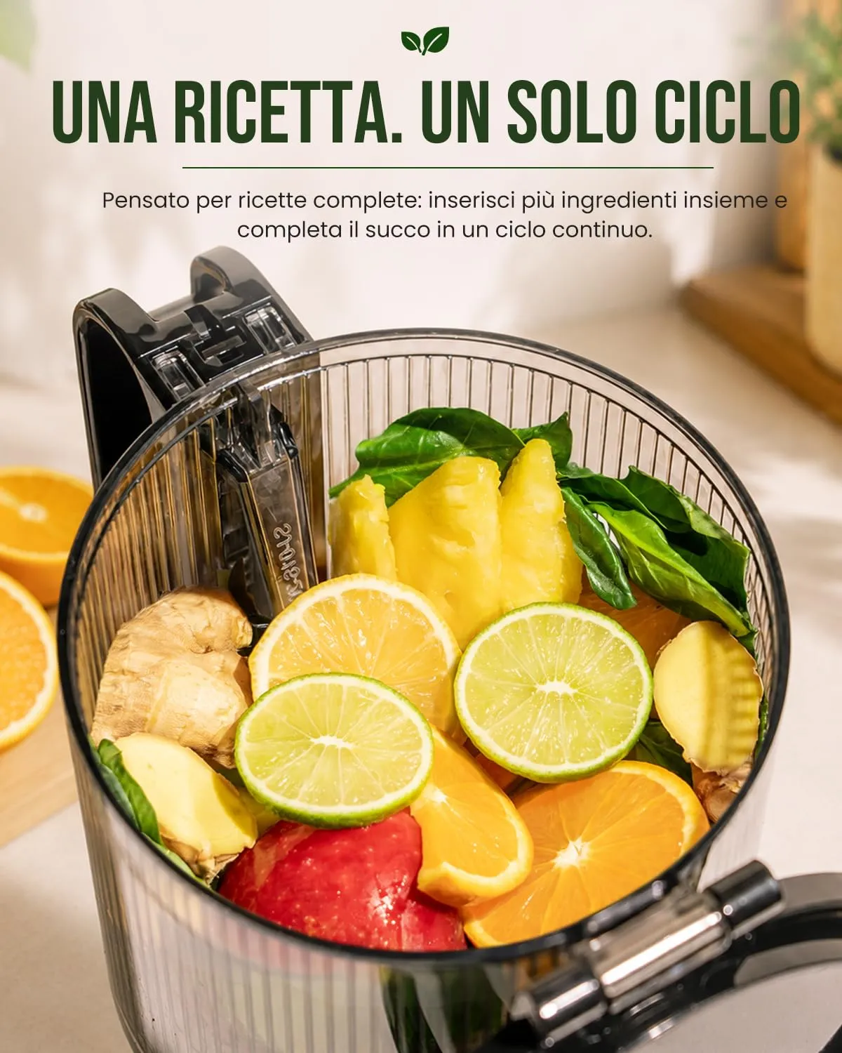 LINKChef Estrattore di Succo a Freddo 250W, Imboccatura 13 cm, 1,8 L, Senza BPA - immagine 8