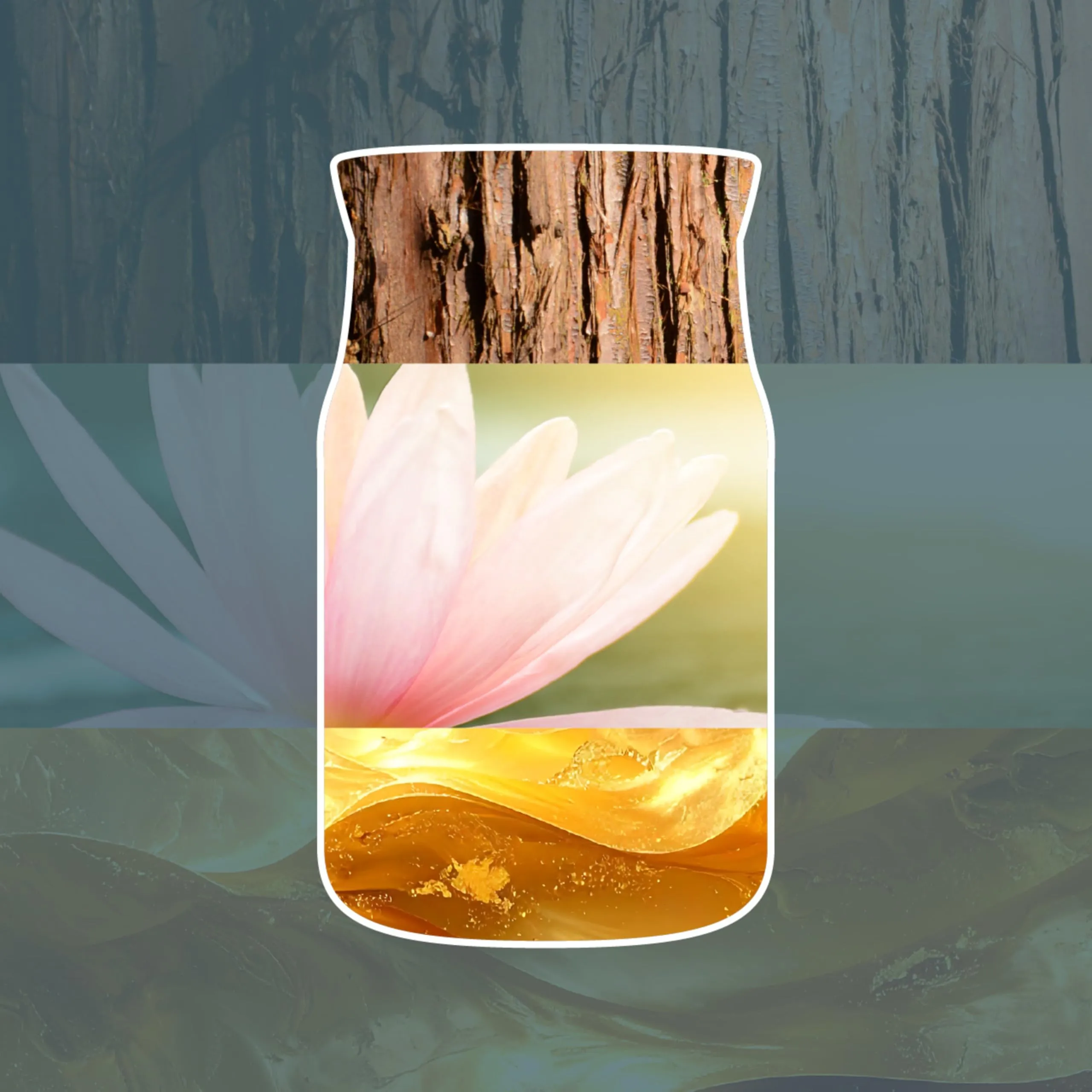 Yankee Candle Scent Plug Refill - Bayside Cedar - immagine 4