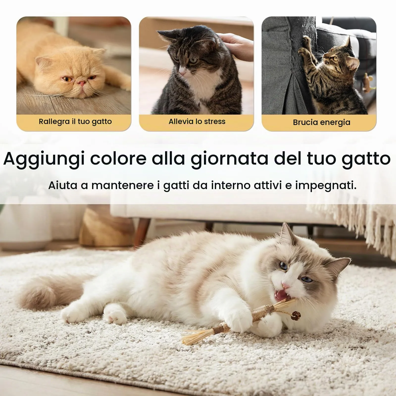 Aidiyapet Bastoncini Matatabi per Gatti, 6 Pezzi - immagine 2