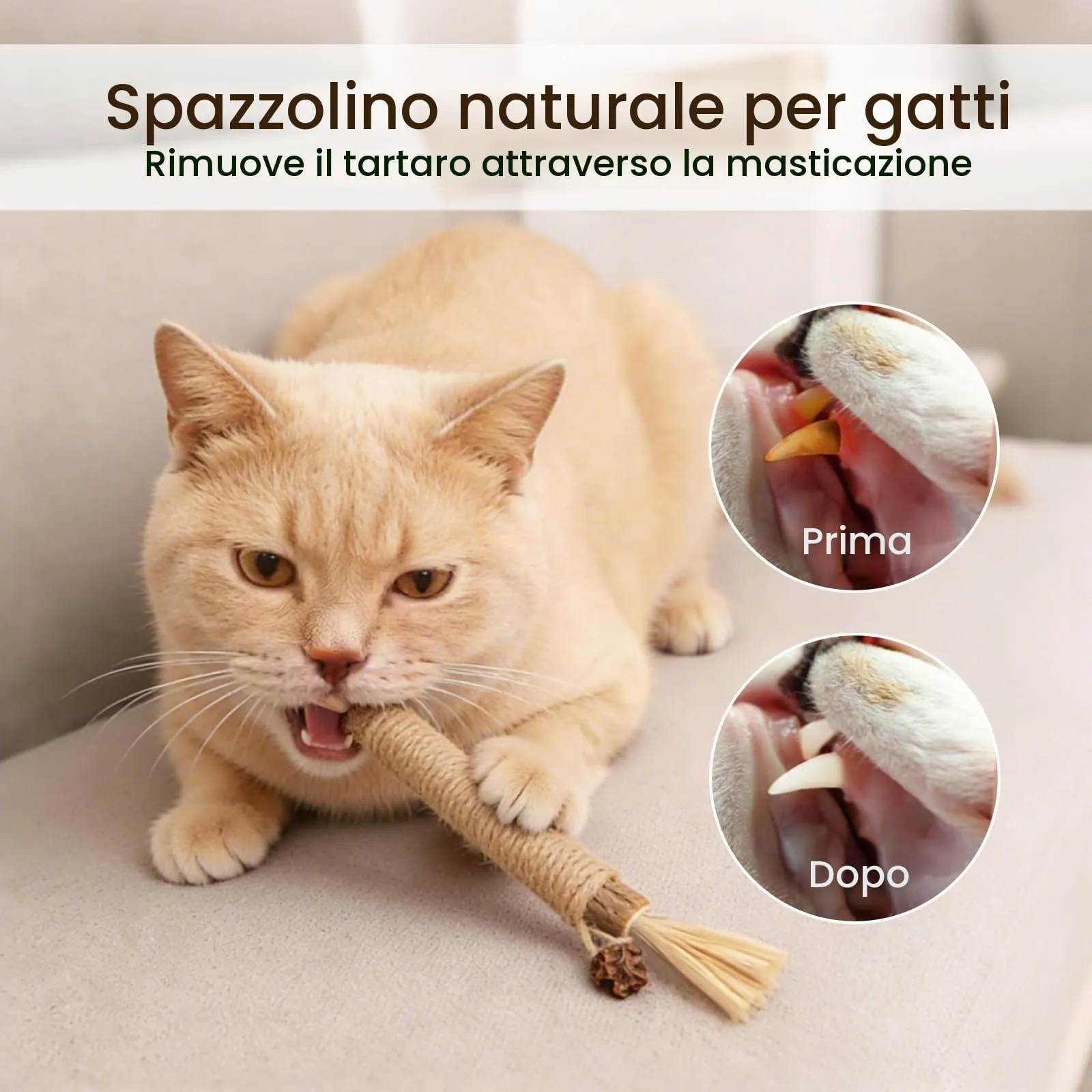 Aidiyapet Bastoncini Matatabi per Gatti, 6 Pezzi - immagine 3