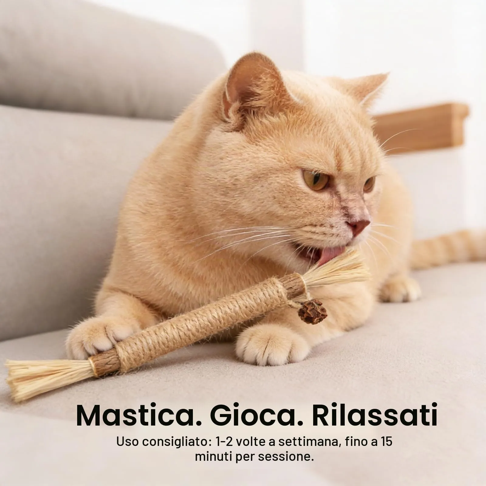 Aidiyapet Bastoncini Matatabi per Gatti, 6 Pezzi - immagine 7
