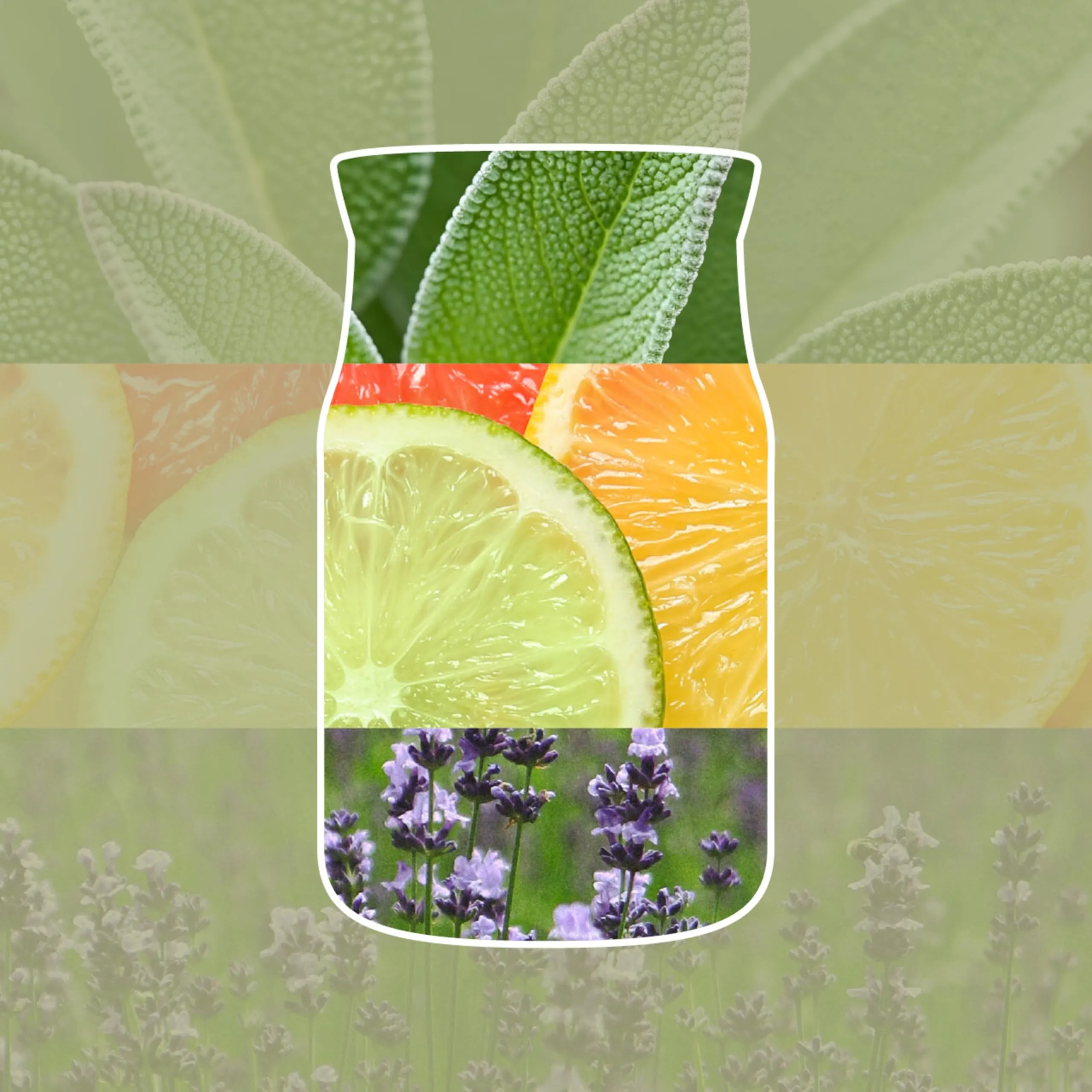 Yankee Candle Scent Plug Refill - Sage & Citrus - immagine 4
