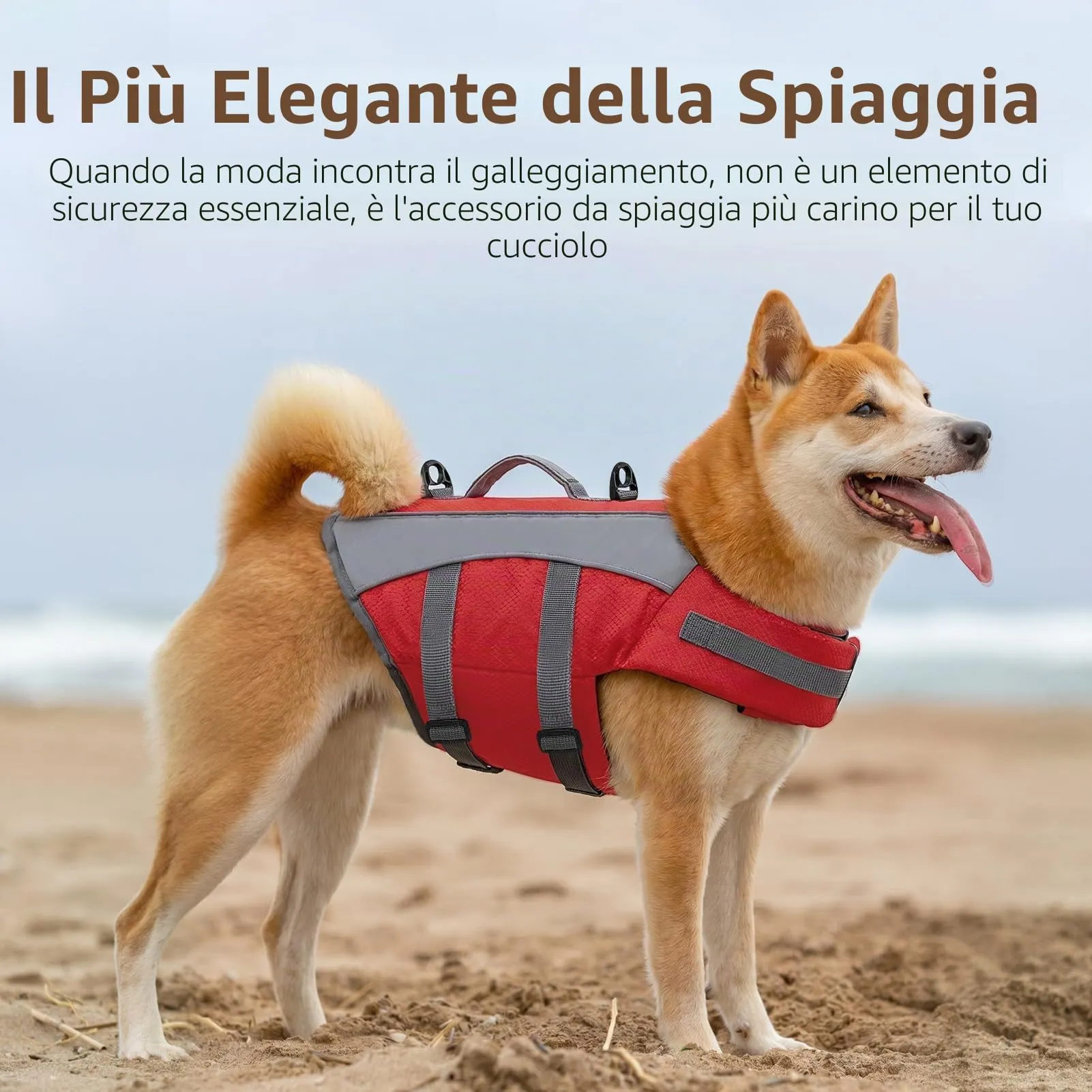 CITÉTOILE Giubbotto Salvagente per Cani Riflettente, Rosso, M - immagine 6