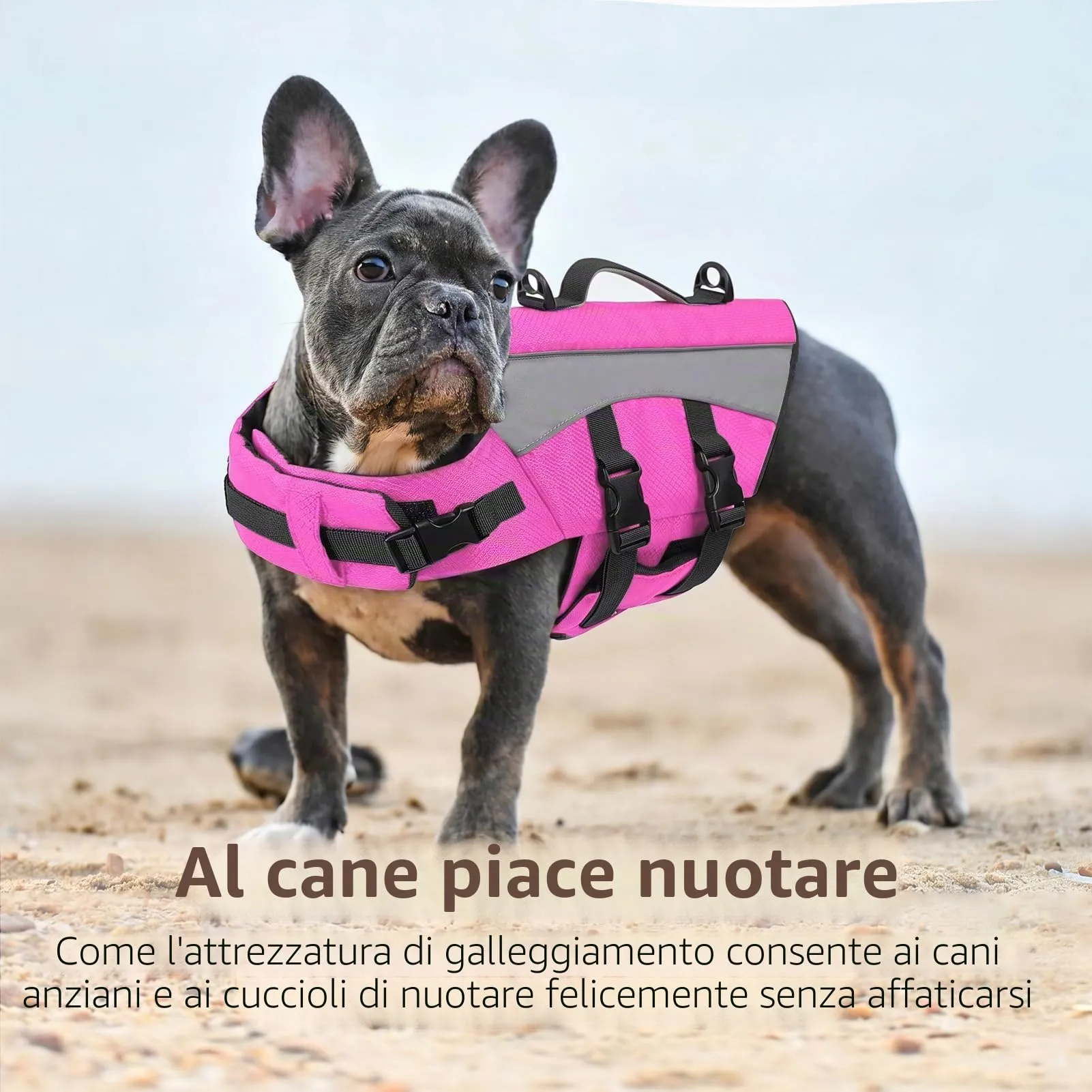 CITÉTOILE Giubbotto Salvagente per Cani, Rosa, M - immagine 5
