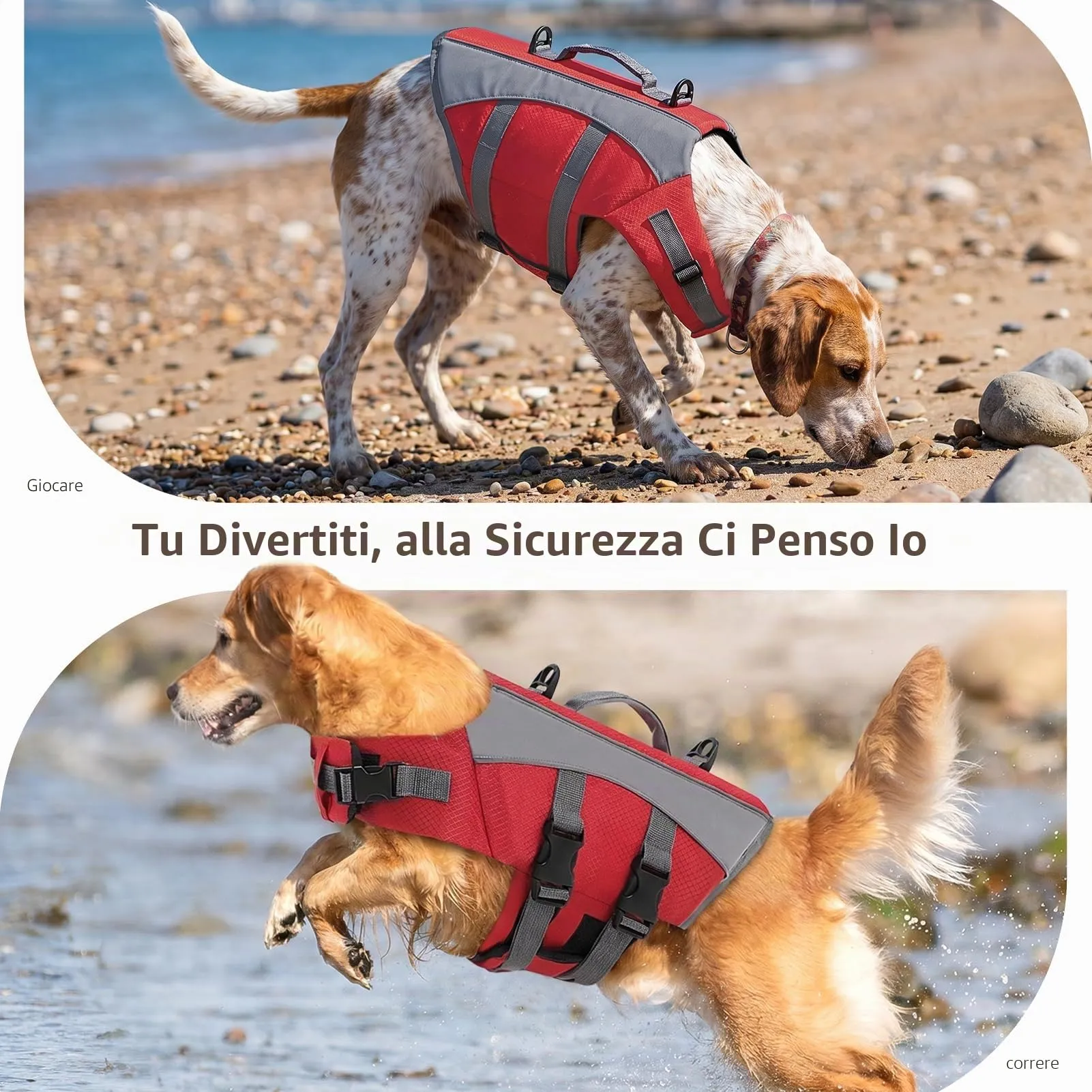 CITÉTOILE Giubbotto Salvagente per Cani Riflettente, Rosso, L - immagine 7