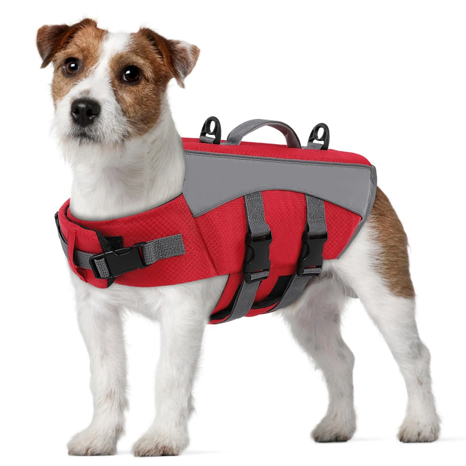 CITÉTOILE Giubbotto Salvagente per Cani, Riflettente con Maniglia e Cinture Regolabili, Rosso, XS - immagine 1