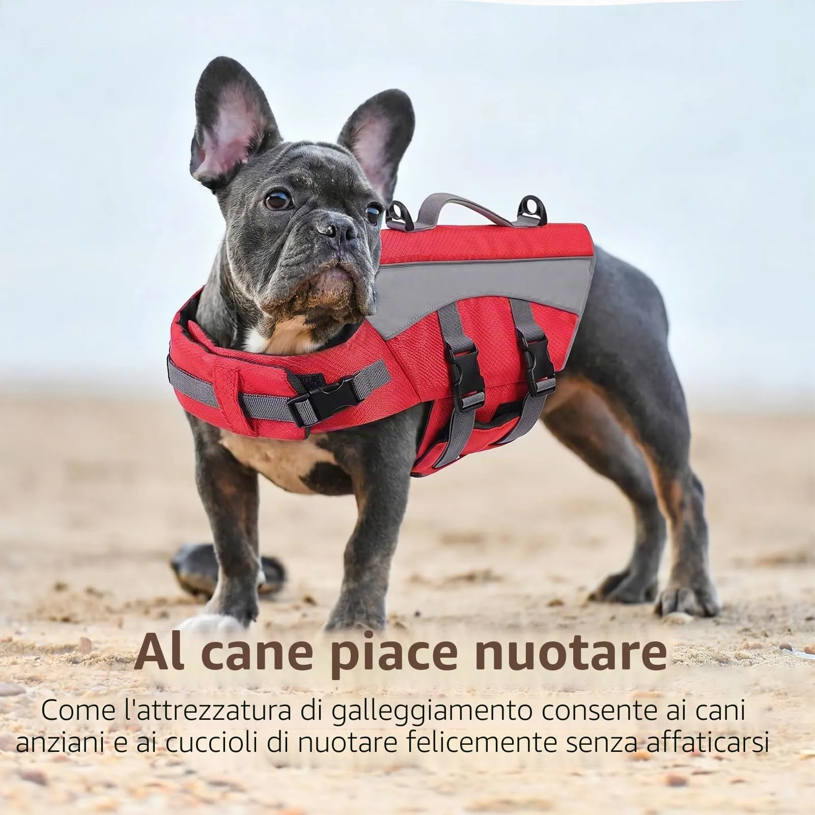 CITÉTOILE Giubbotto Salvagente per Cani, Riflettente con Maniglia e Cinture Regolabili, Rosso, XS - immagine 5