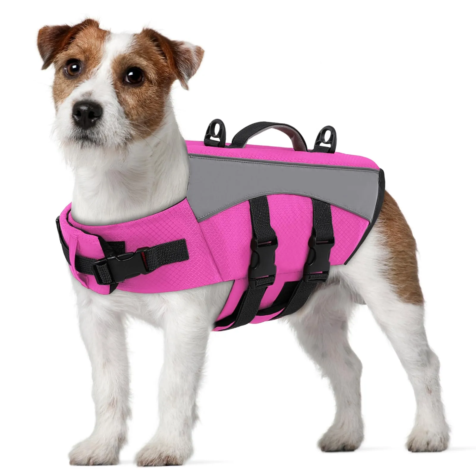 CITÉTOILE Giubbotto Salvagente per Cani, Riflettente con Maniglia e Cinture Regolabili, Rosa, S - immagine 1