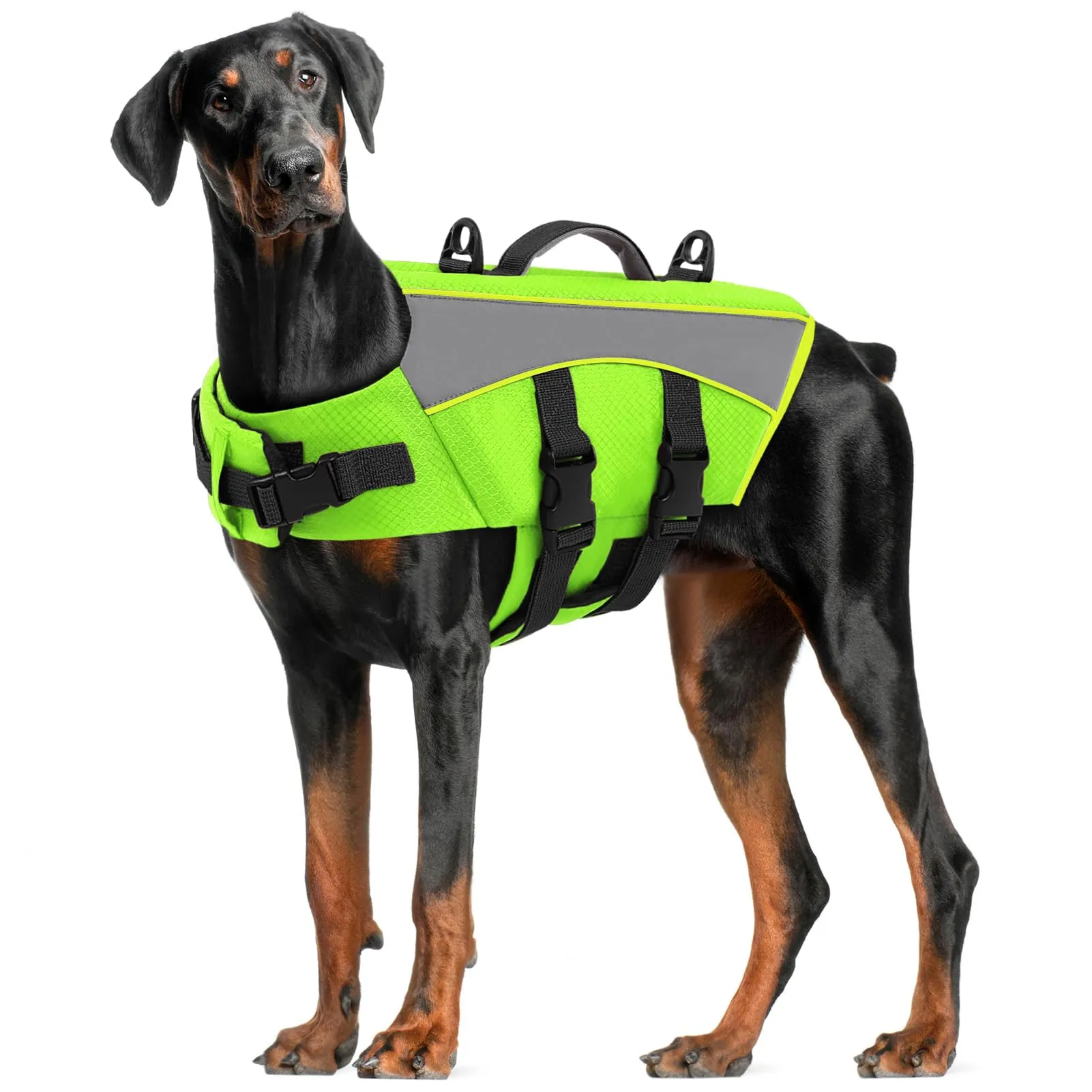 CITÉTOILE Giubbotto Salvagente per Cani Riflettente, Verde, XL - immagine 1