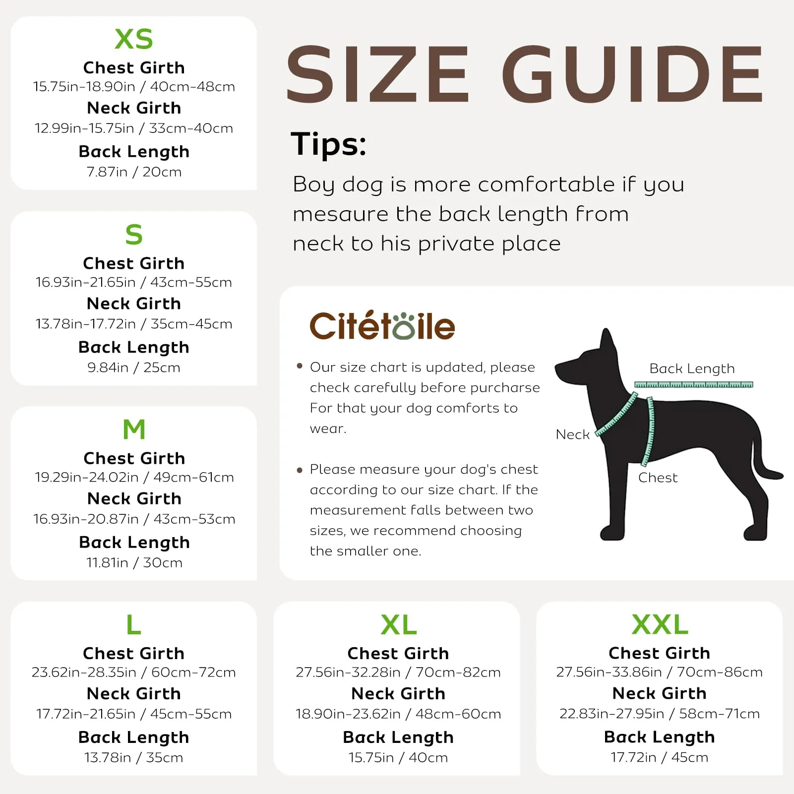 CITÉTOILE Giubbotto Salvagente per Cani Riflettente, Verde, XL - immagine 3