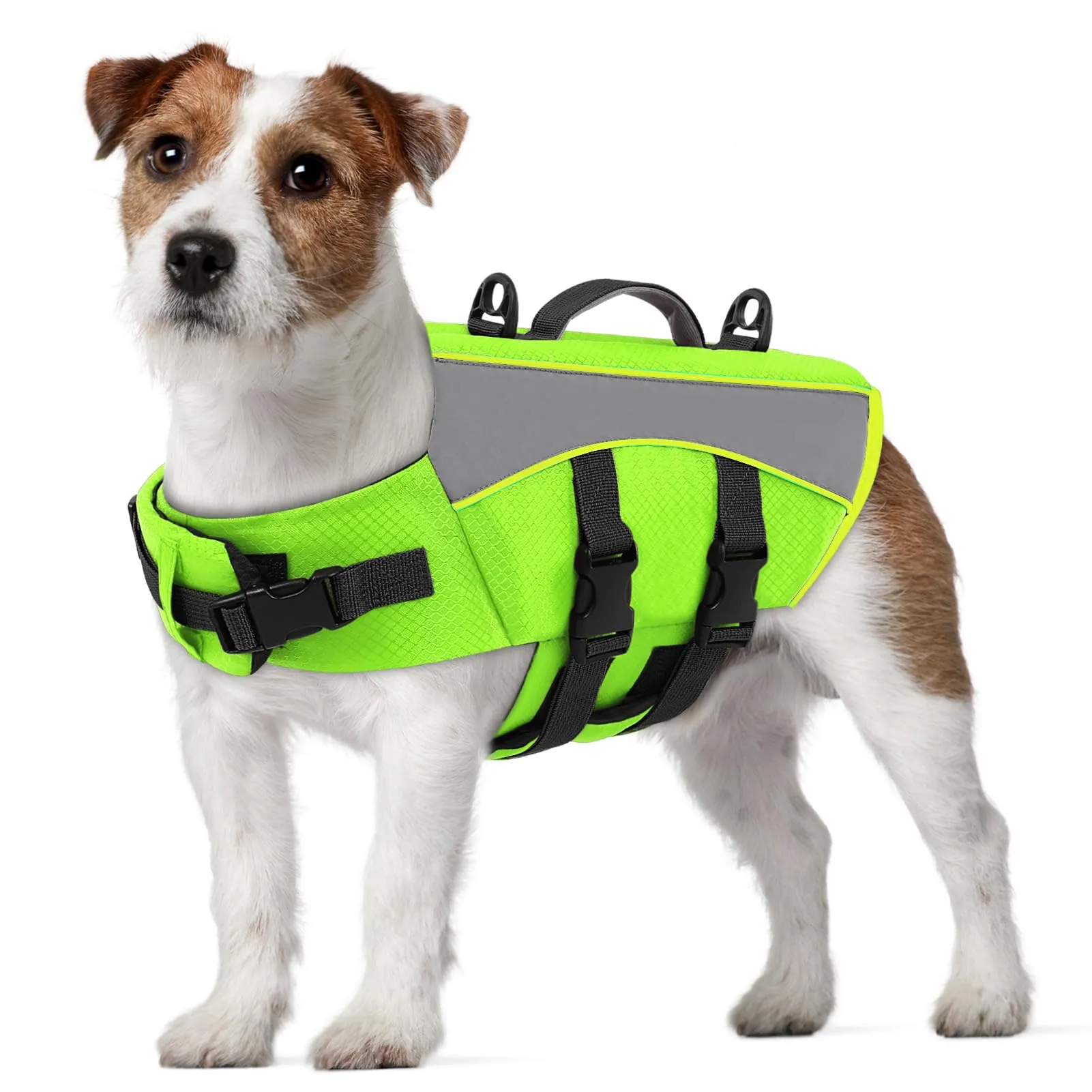 CITÉTOILE Giubbotto Salvagente per Cani, Riflettente con Maniglia, Verde, M - immagine 1