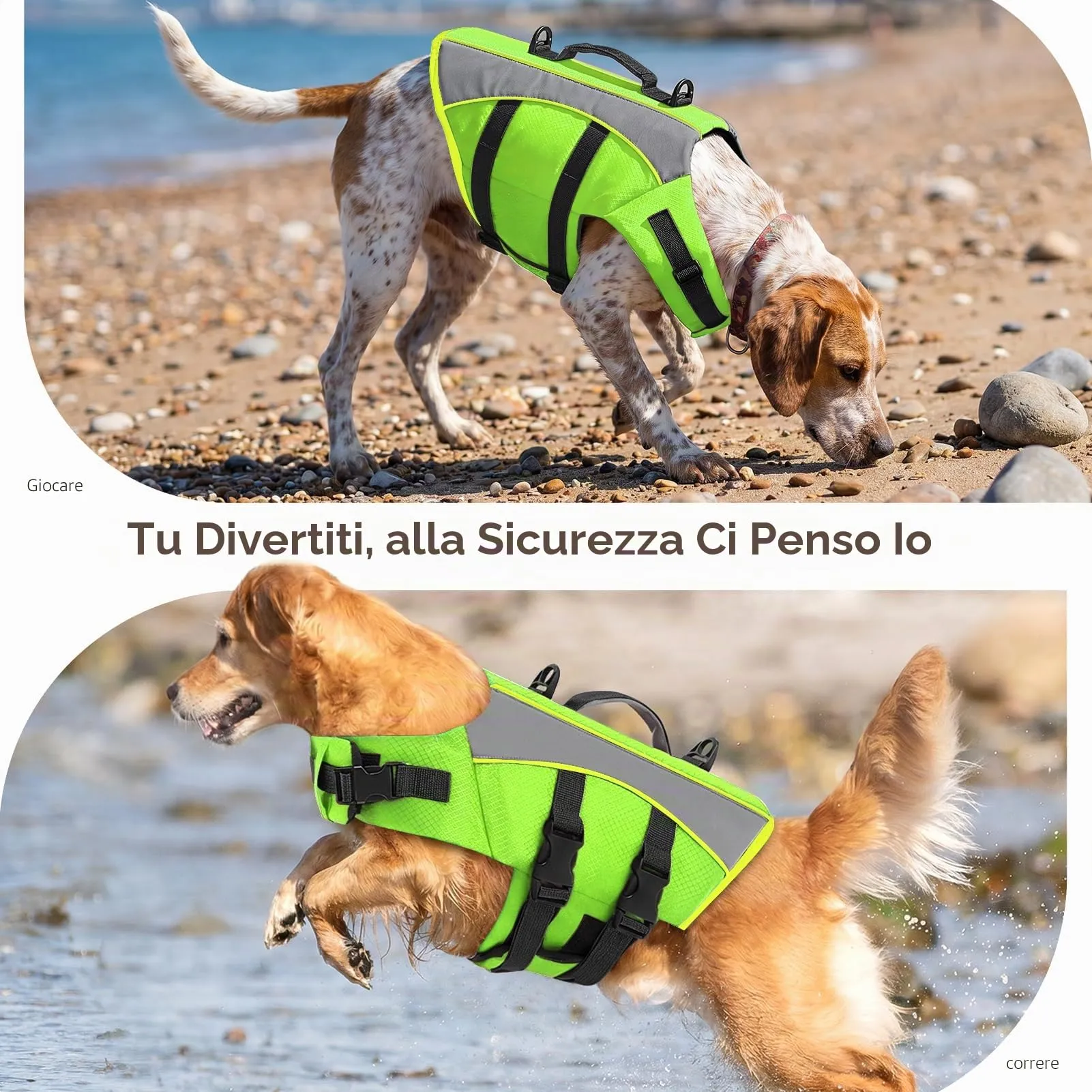 CITÉTOILE Giubbotto Salvagente per Cani, Riflettente con Maniglia, Verde, M - immagine 7