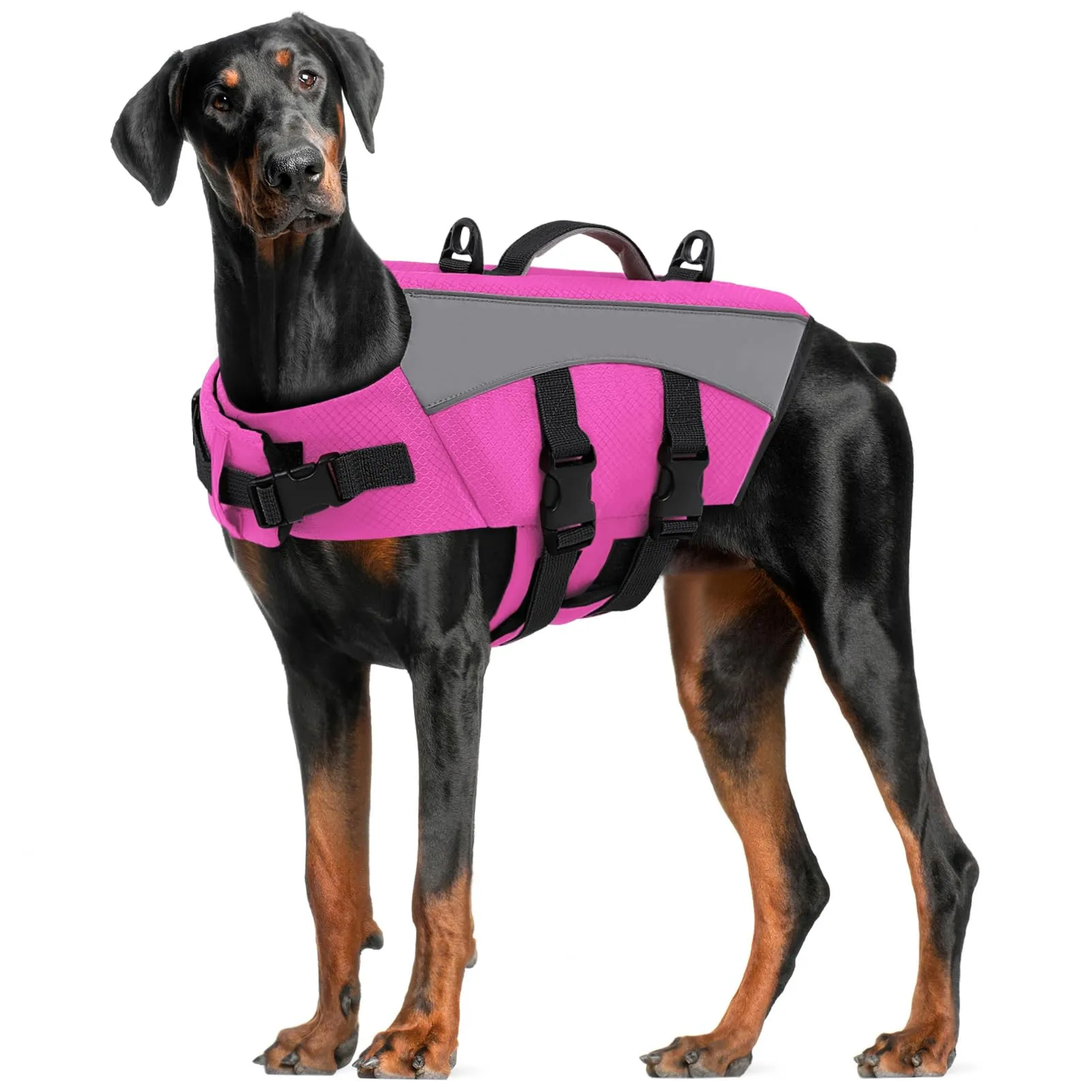 CITÉTOILE Giubbotto Salvagente per Cani Riflettente, Rosa, XL - immagine 1