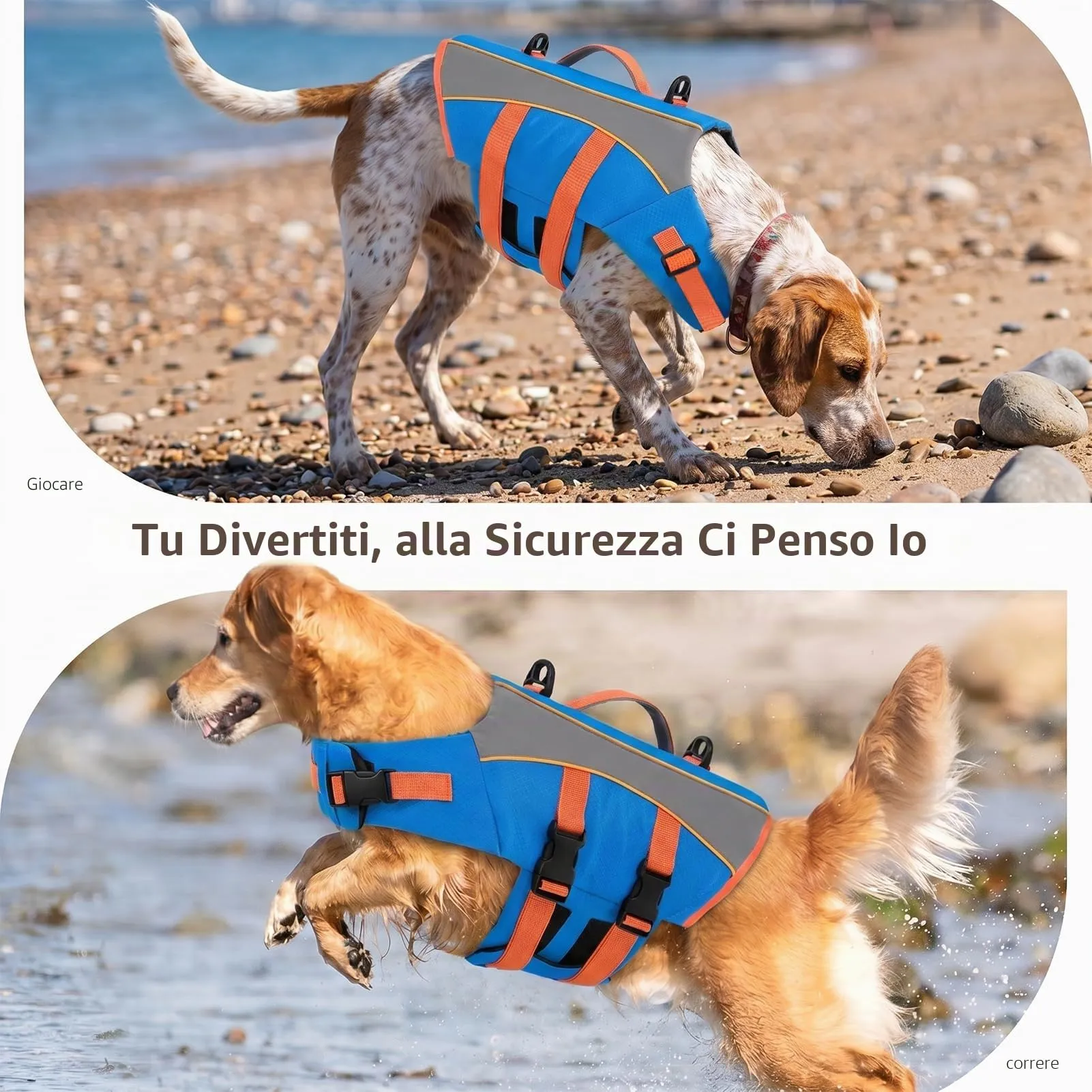 CITÉTOILE Giubbotto Salvagente per Cani Riflettente, Blu, XL - immagine 7