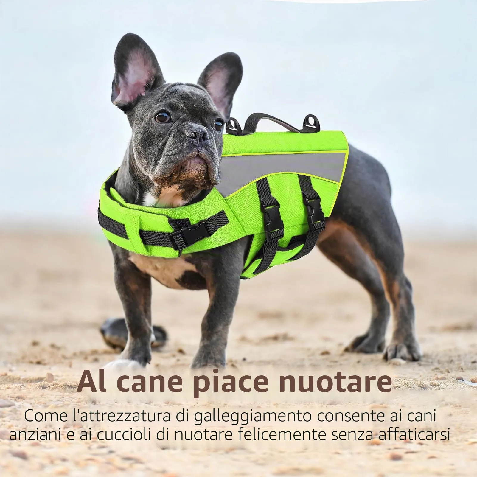 CITÉTOILE Giubbotto Salvagente per Cani Riflettente, Verde, S - immagine 5