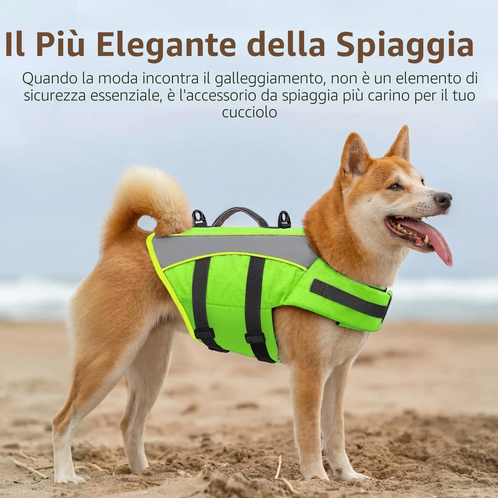 CITÉTOILE Giubbotto Salvagente per Cani Riflettente, Verde, S - immagine 6