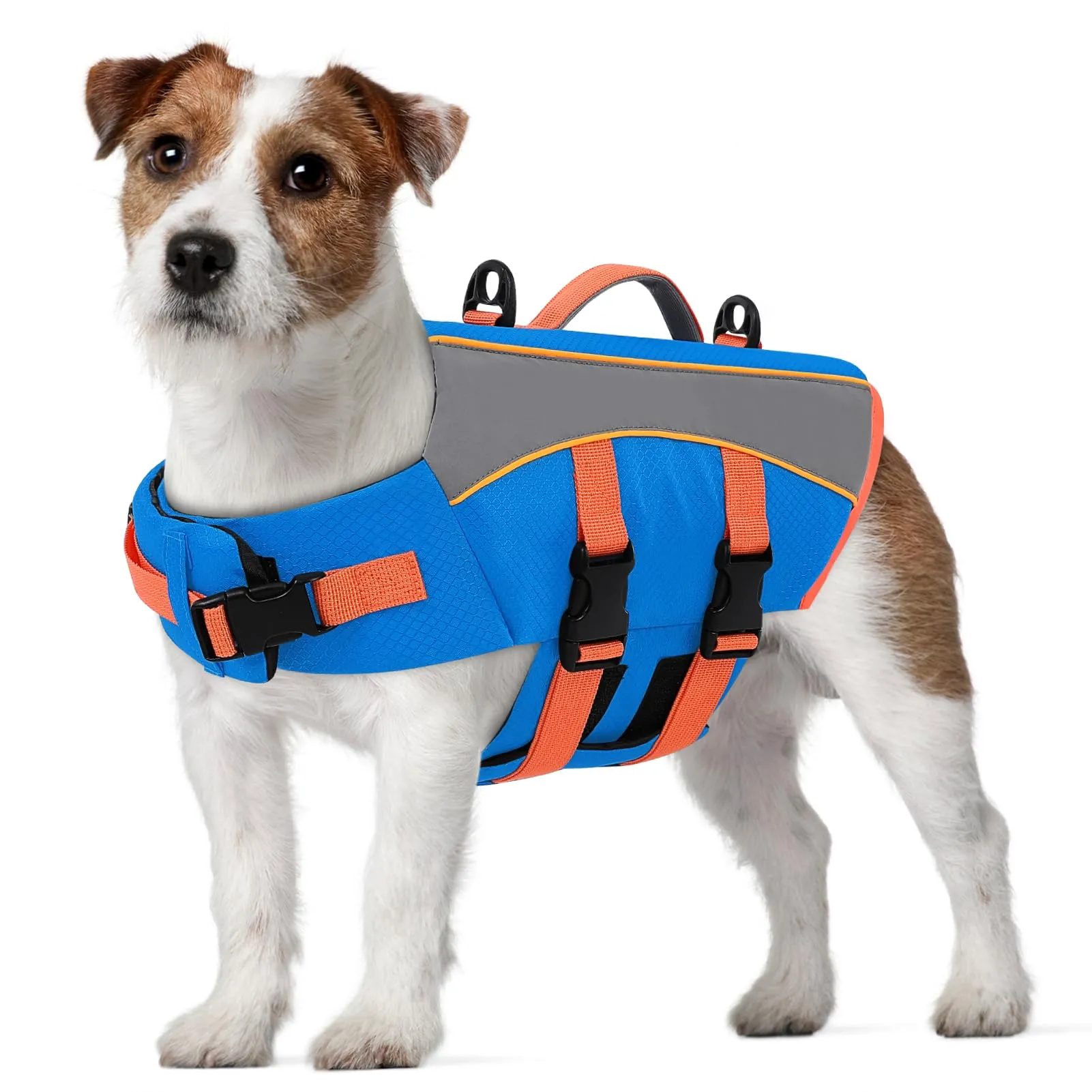 CITÉTOILE Giubbotto Salvagente per Cani Riflettente, Blu, XS - immagine 1