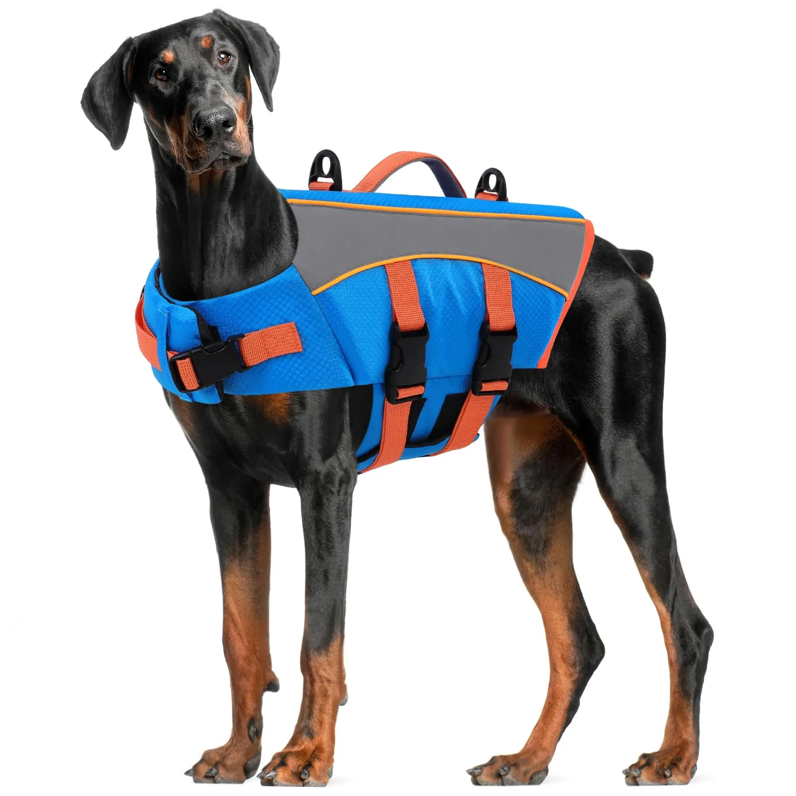 CITÉTOILE Giubbotto Salvagente per Cani, Giacca Galleggiante Riflettente, Blu, L - immagine 1
