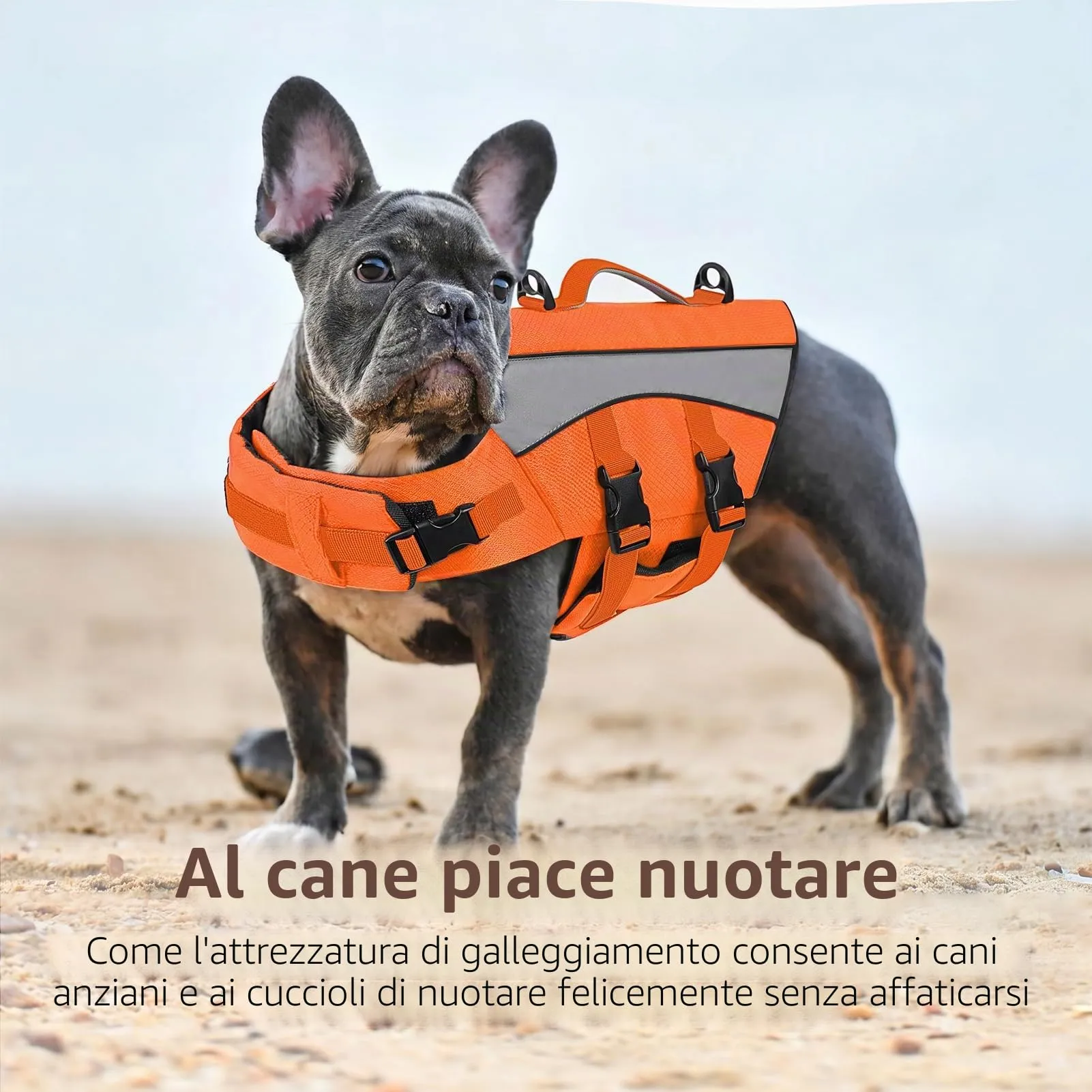 CITÉTOILE Giubbotto Salvagente per Cani Riflettente, Arancione, XS - immagine 5