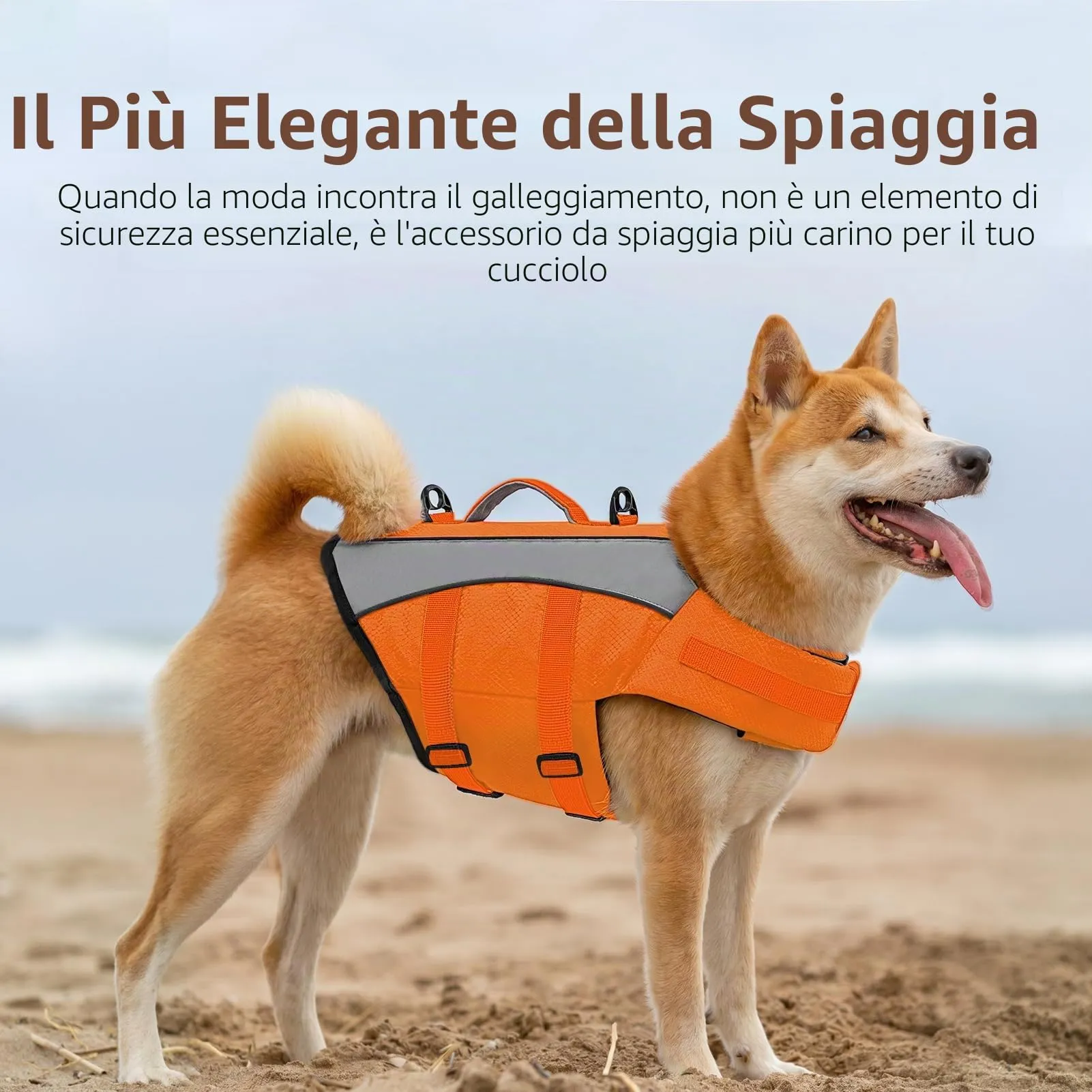 CITÉTOILE Giubbotto Salvagente per Cani Riflettente, Arancione, XS - immagine 6