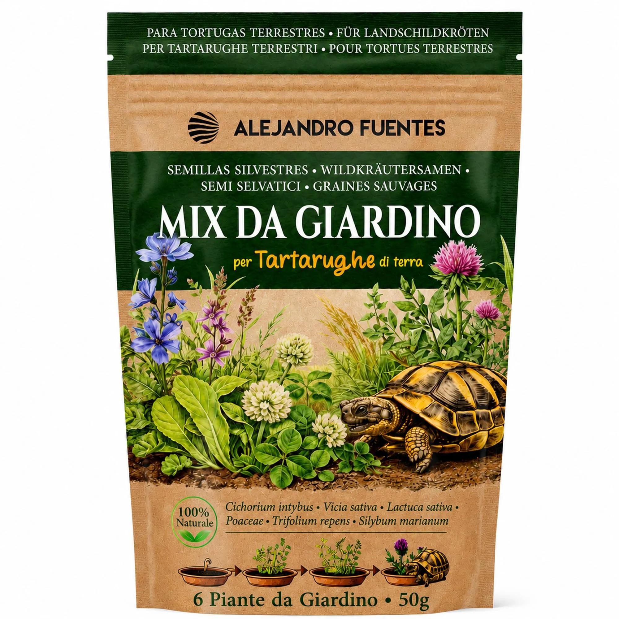 Alejandro Fuentes Mix Semi per Tartarughe di Terra, Formulazione Rapida 40g - immagine 1