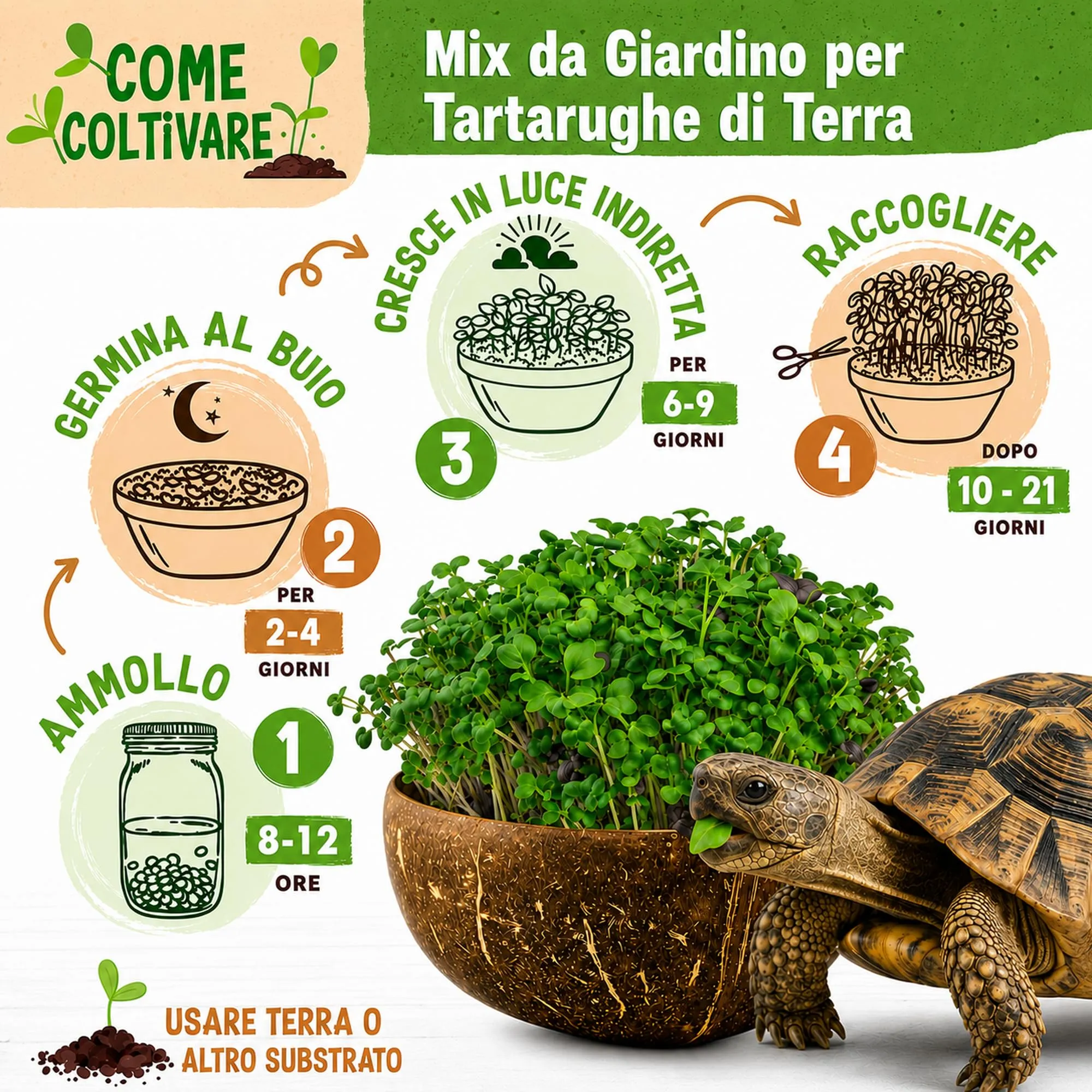 Alejandro Fuentes Mix Semi per Tartarughe di Terra, Formulazione Rapida 40g - immagine 2